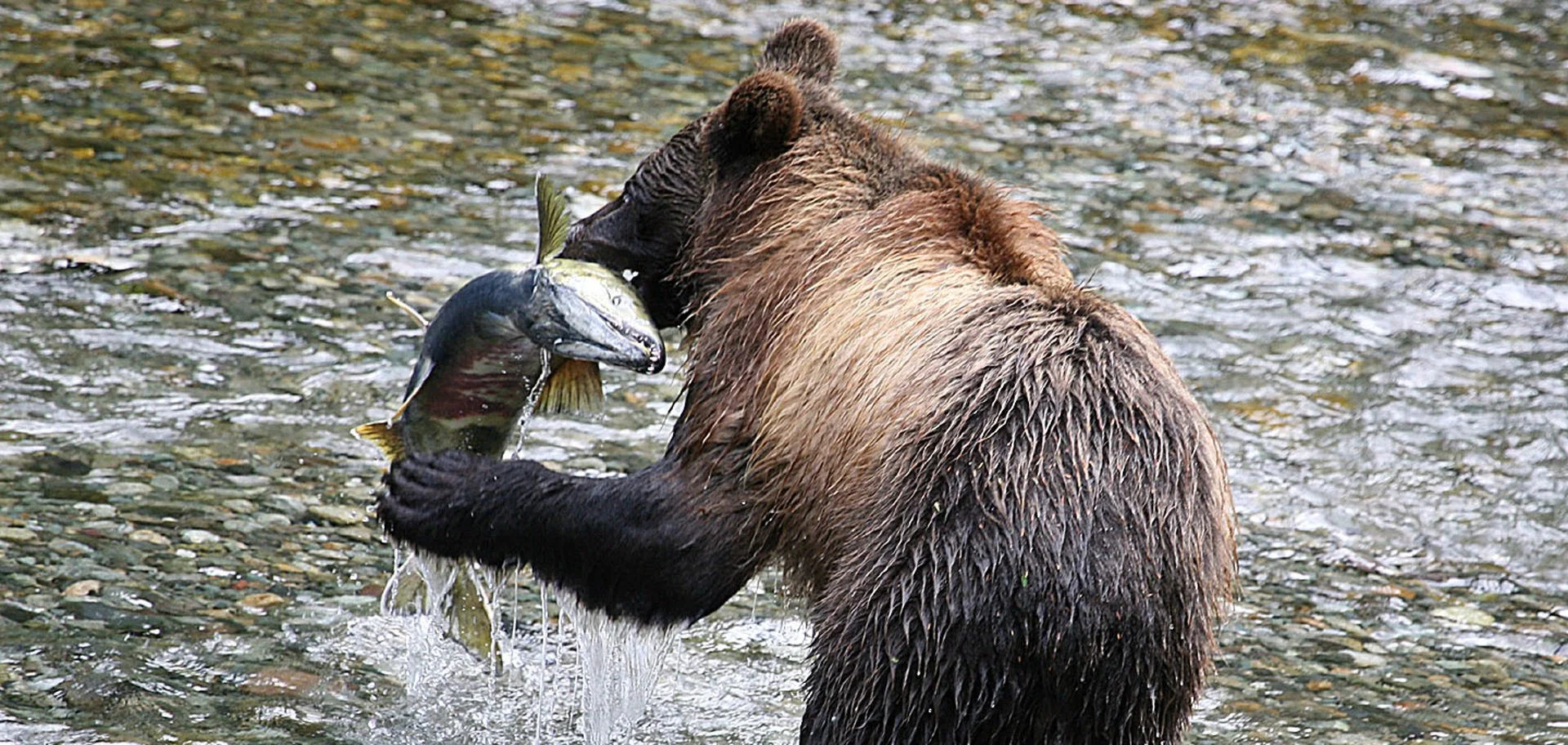 Alaska Cruise Seasons