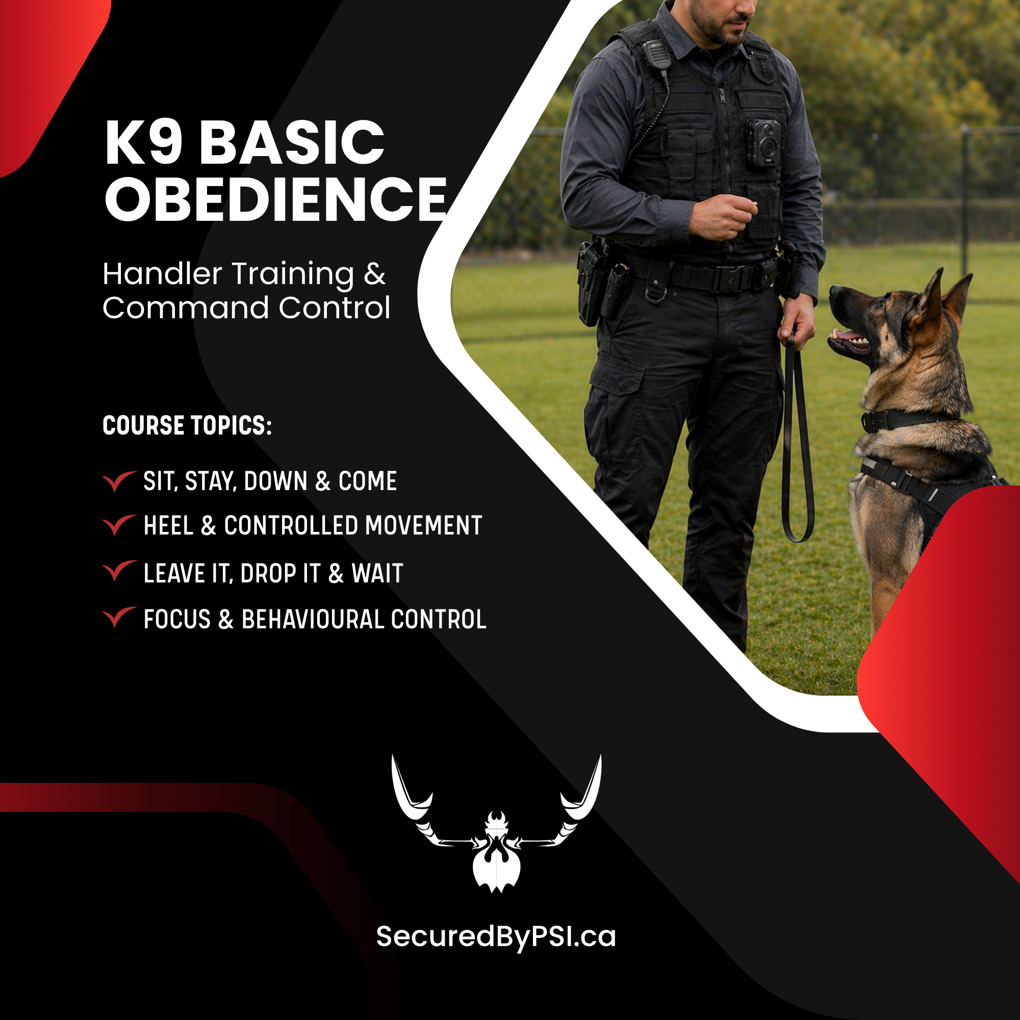 Foundational K9 Obedience Training for Handlers (Online)