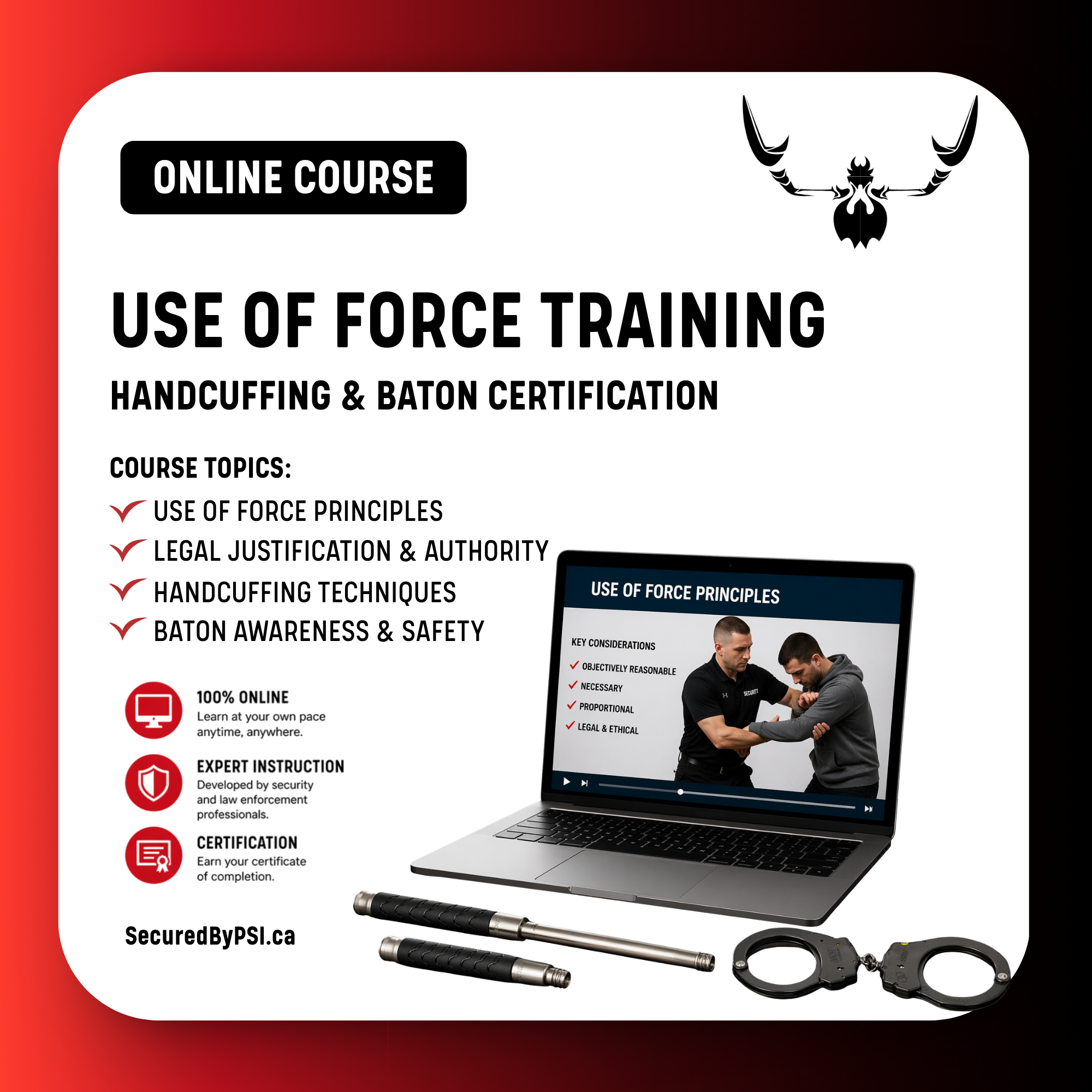 Use of Force Training | Handcuffing & Baton Certification (Online)