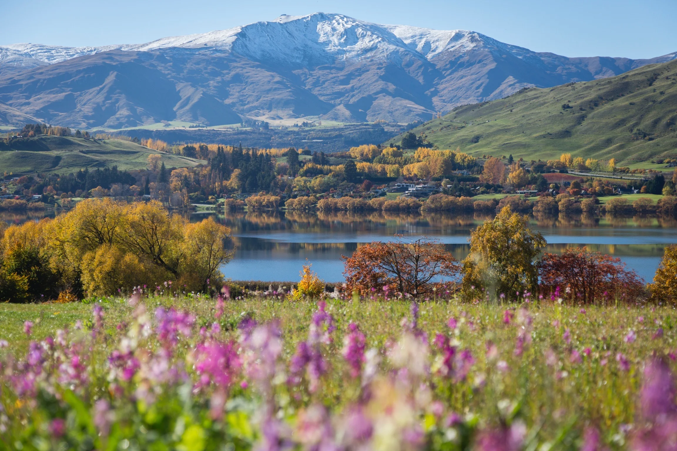and to watch the rowers and paddle boarders throughout the day, on sparkling Lake Hayes. 