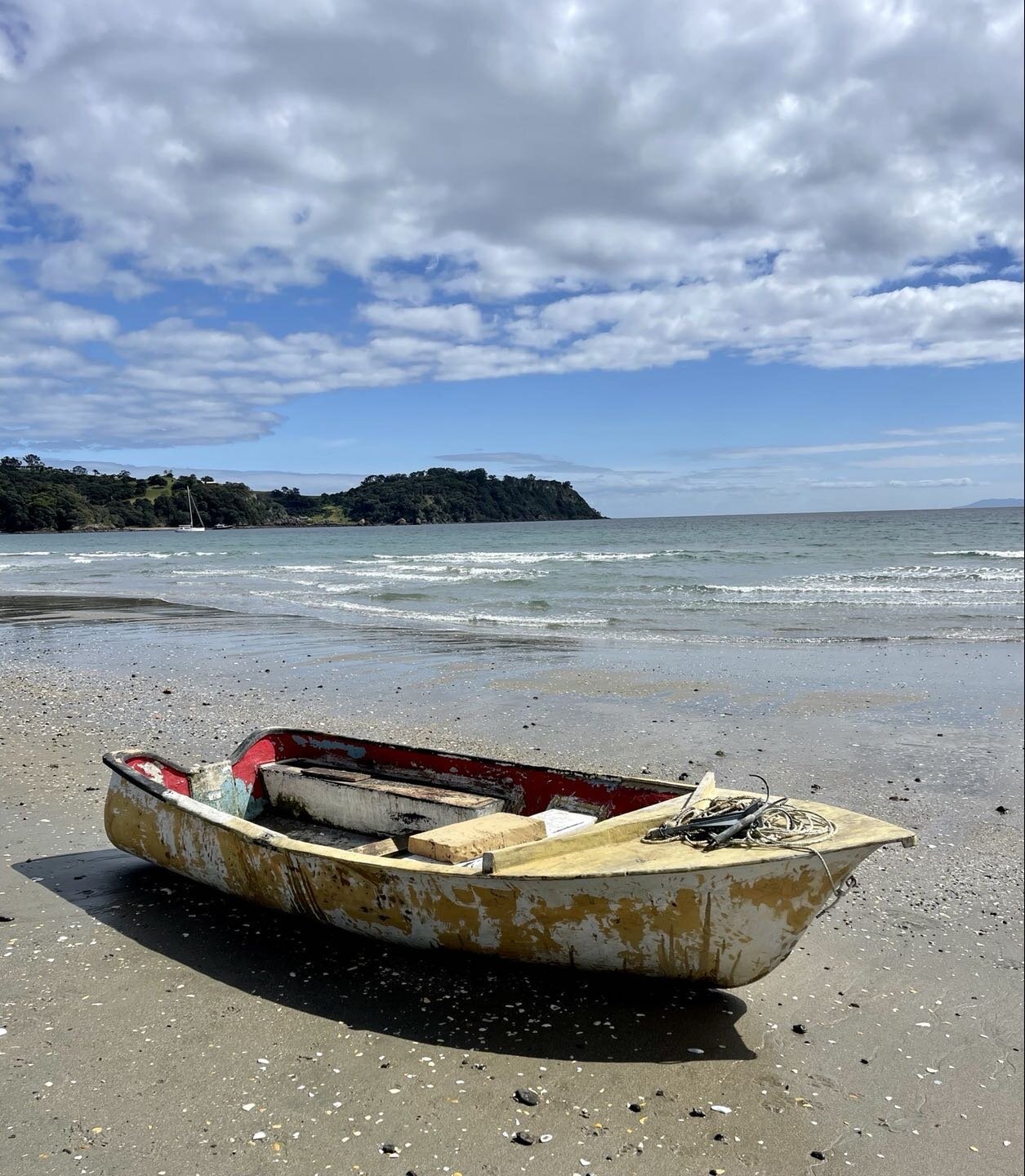 Onetangi def my 🌟ab 🌟fab 🌟fav beach in NZ 💙🌊☀️🛶🐚we are doing a mid week stay 3/pay 2 at Wavesong and The Hibiscus for the next 2 months - escape to the best wee beach community in NZ 💕💋