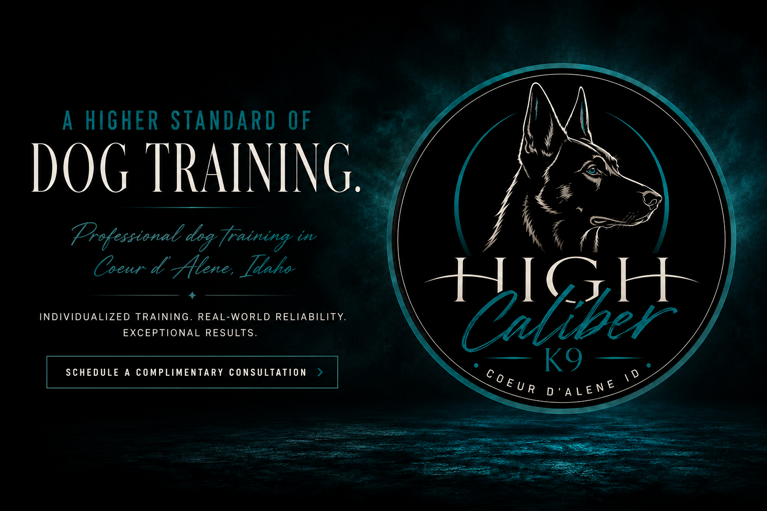 Professional dog trainer in Coeur d'Alene, Idaho. Specializing in reactivity, dog aggression, obedience, puppy training North Idaho