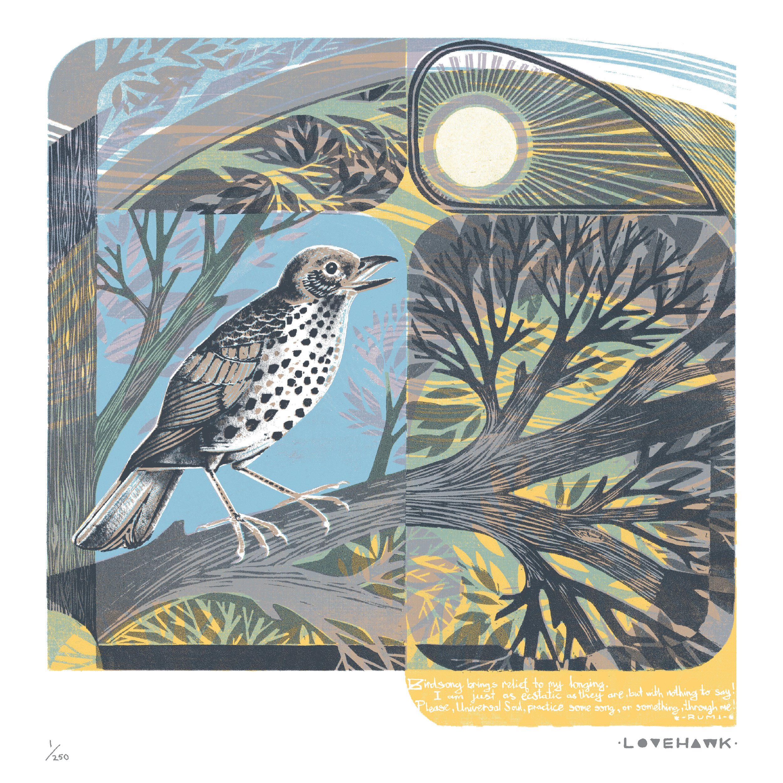 For The Birds: The Birdsong Project Features 242 Original Recordings By  Leading Artists Inspired By Birdsong
