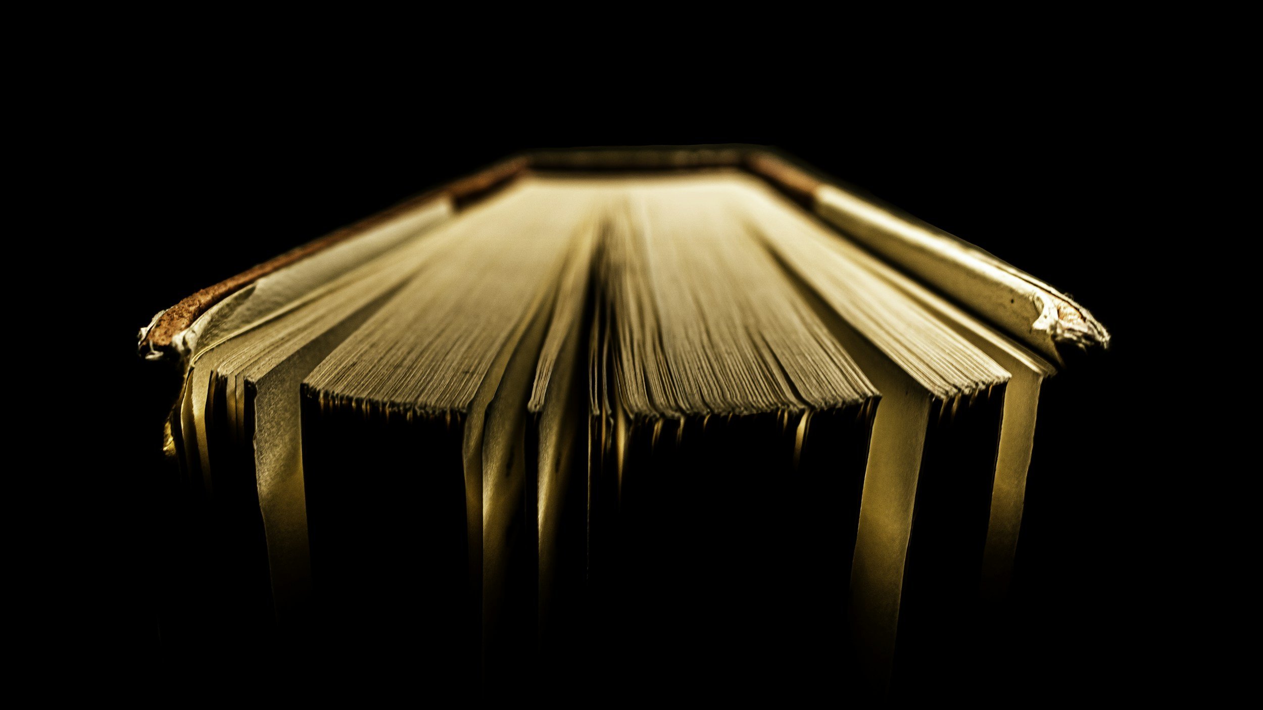 SOMATIC POETRY EXPERIENCE