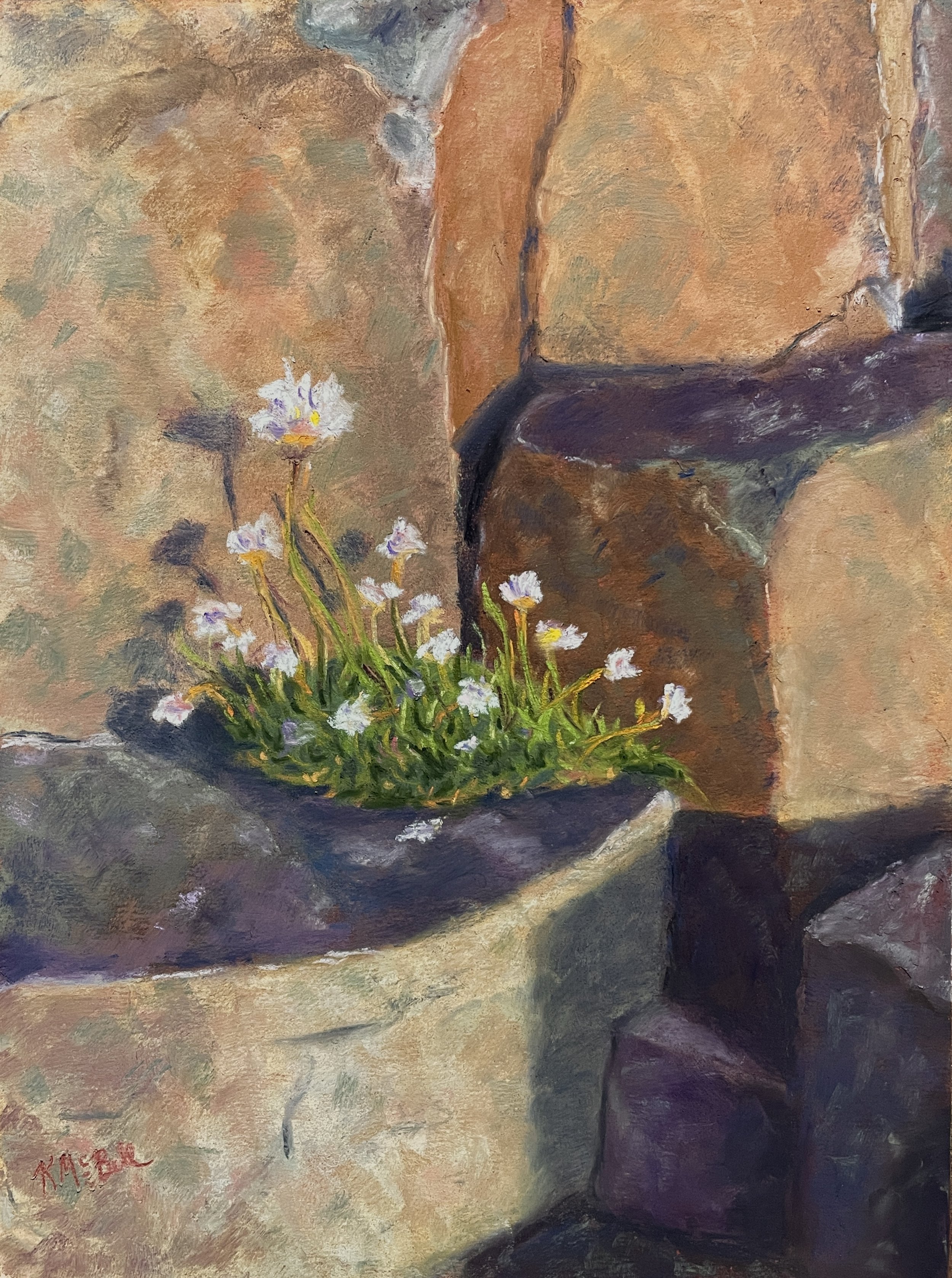 unesco-world-heritage-site-giants-causeway-pastel