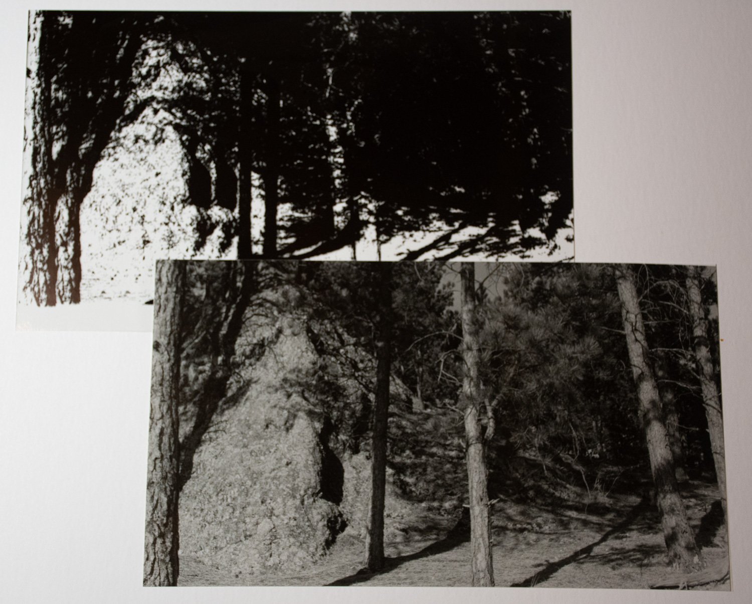 alt process 4.jpg