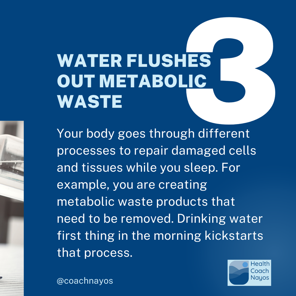 metabolic waste products examples