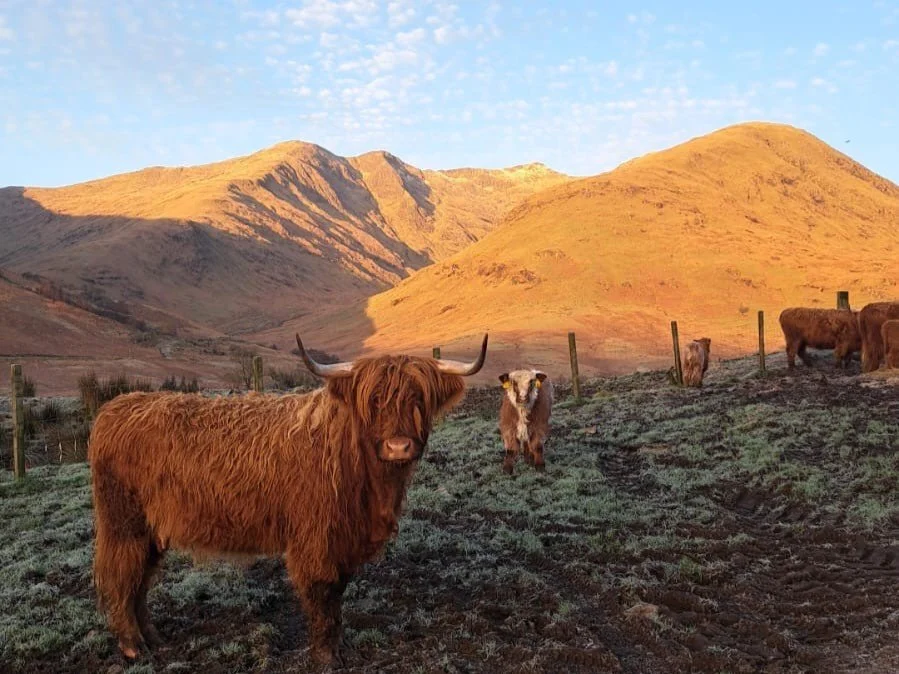 Ben Cruachan and Stob Diamh.JPG