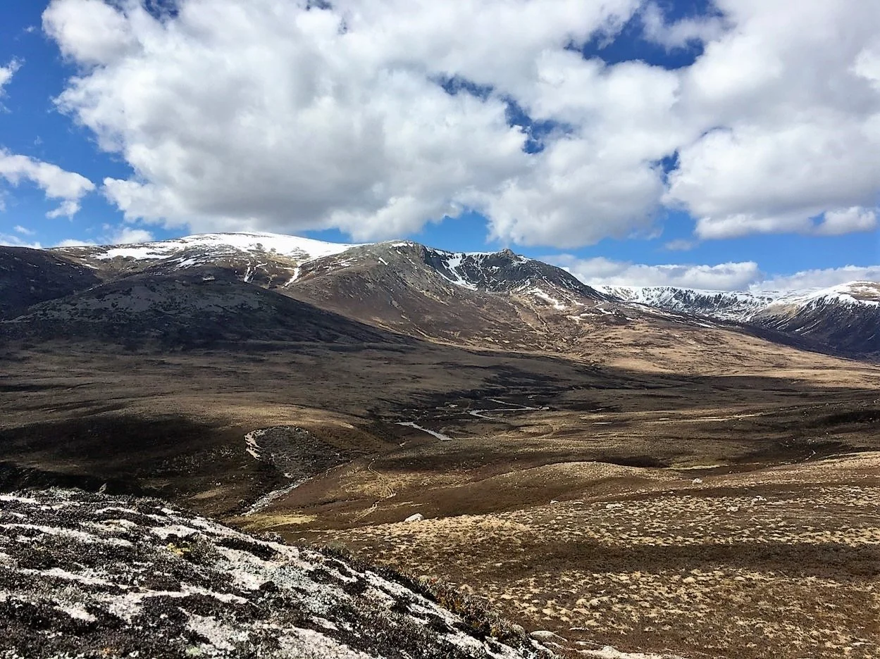 Beinn a'Bhuird view.jpg