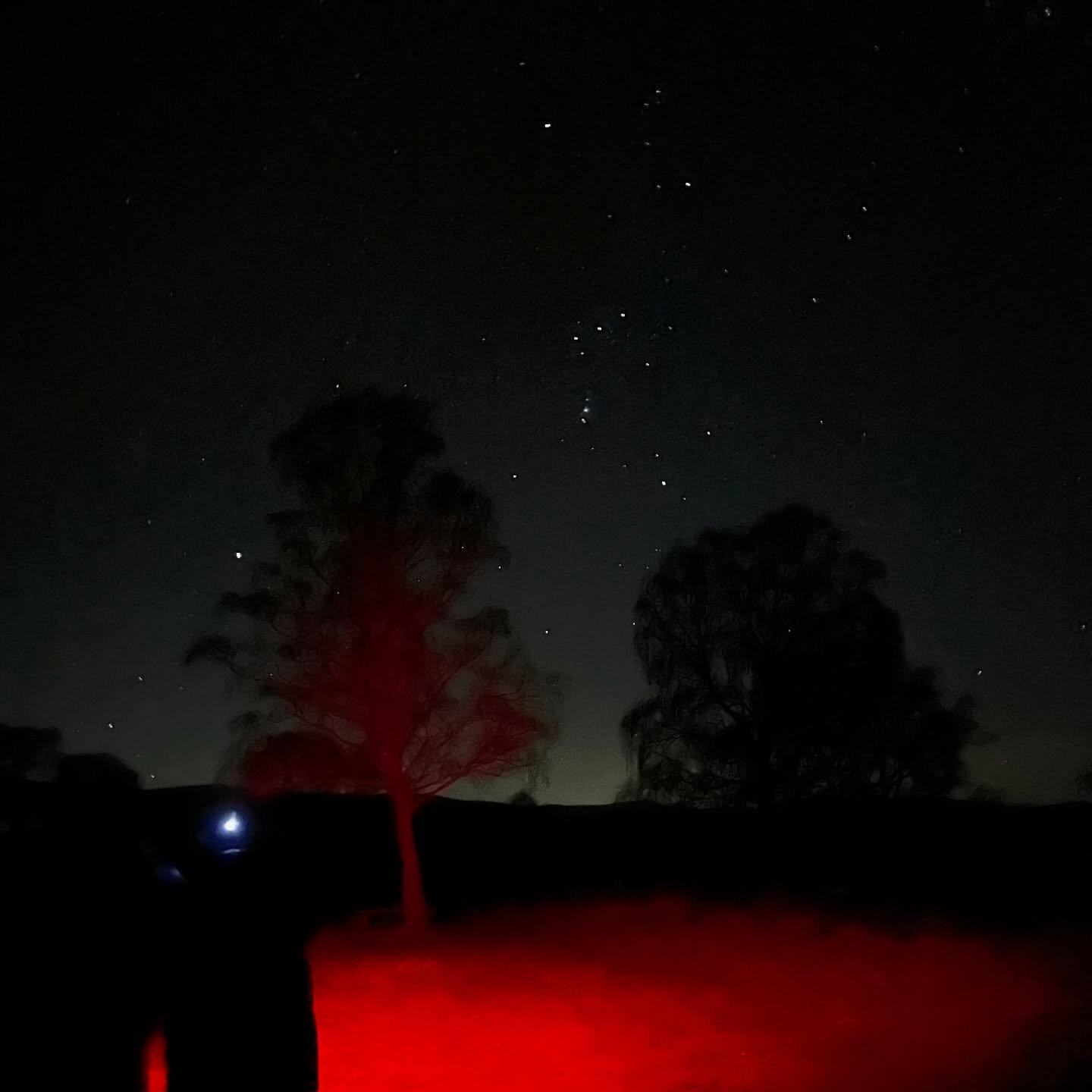 Join us this Friday for another night walk in the Cairngorms ✨
8pm minibus collection from the Ballater area, full details on our website ☄️💫🪐

#DarkSkies #stargazing #astronomeywalk #nightwalk #ballater #aberdeenshire #VisitAbdn #VisitCairngorms #