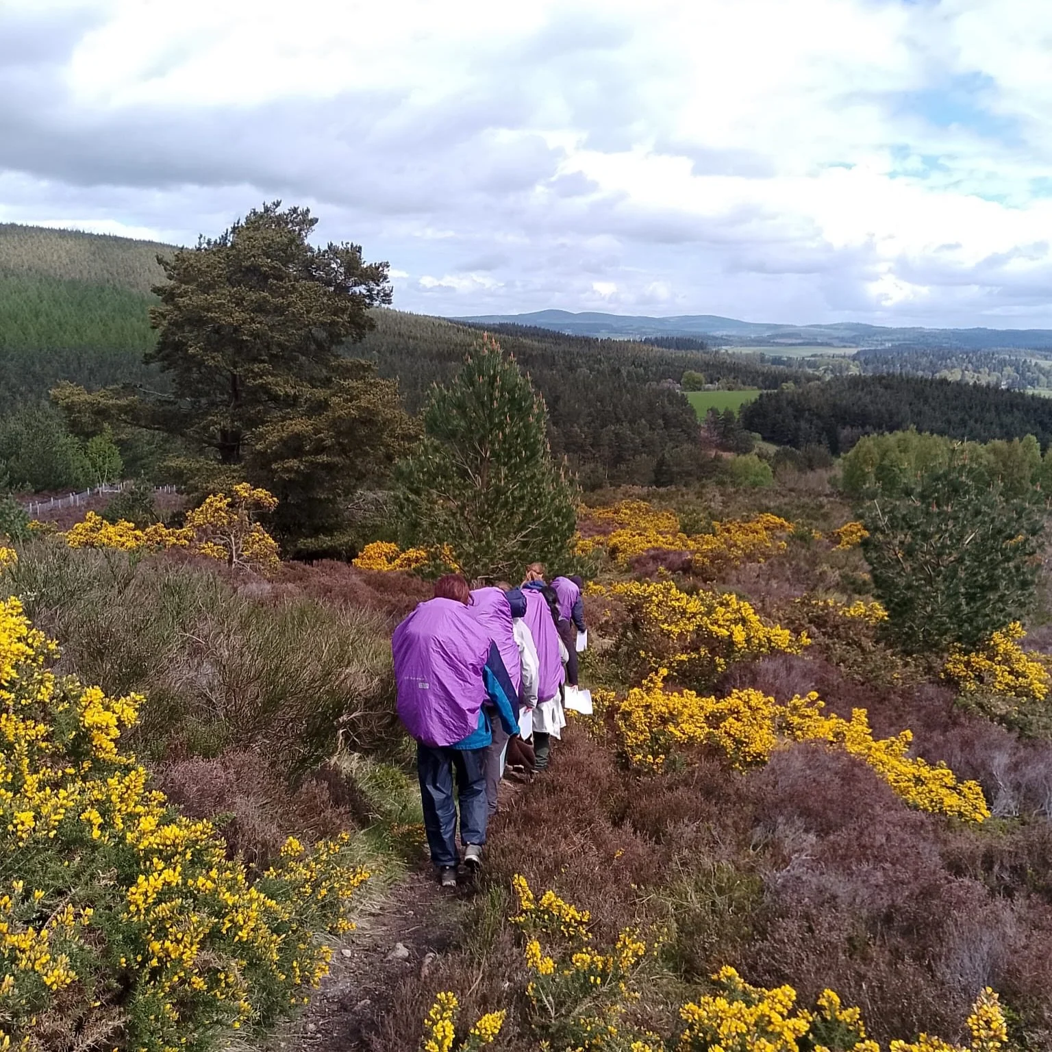 Just completed! 8 days back to back Bronze DofE training / NNAS Bronze qualification with groups from @robertgordonscollege 🗺️🧭
Camping overnight, they all did really well in sometimes tough and cold conditions&hellip;roll on summer ☀️

#dofe #nnas