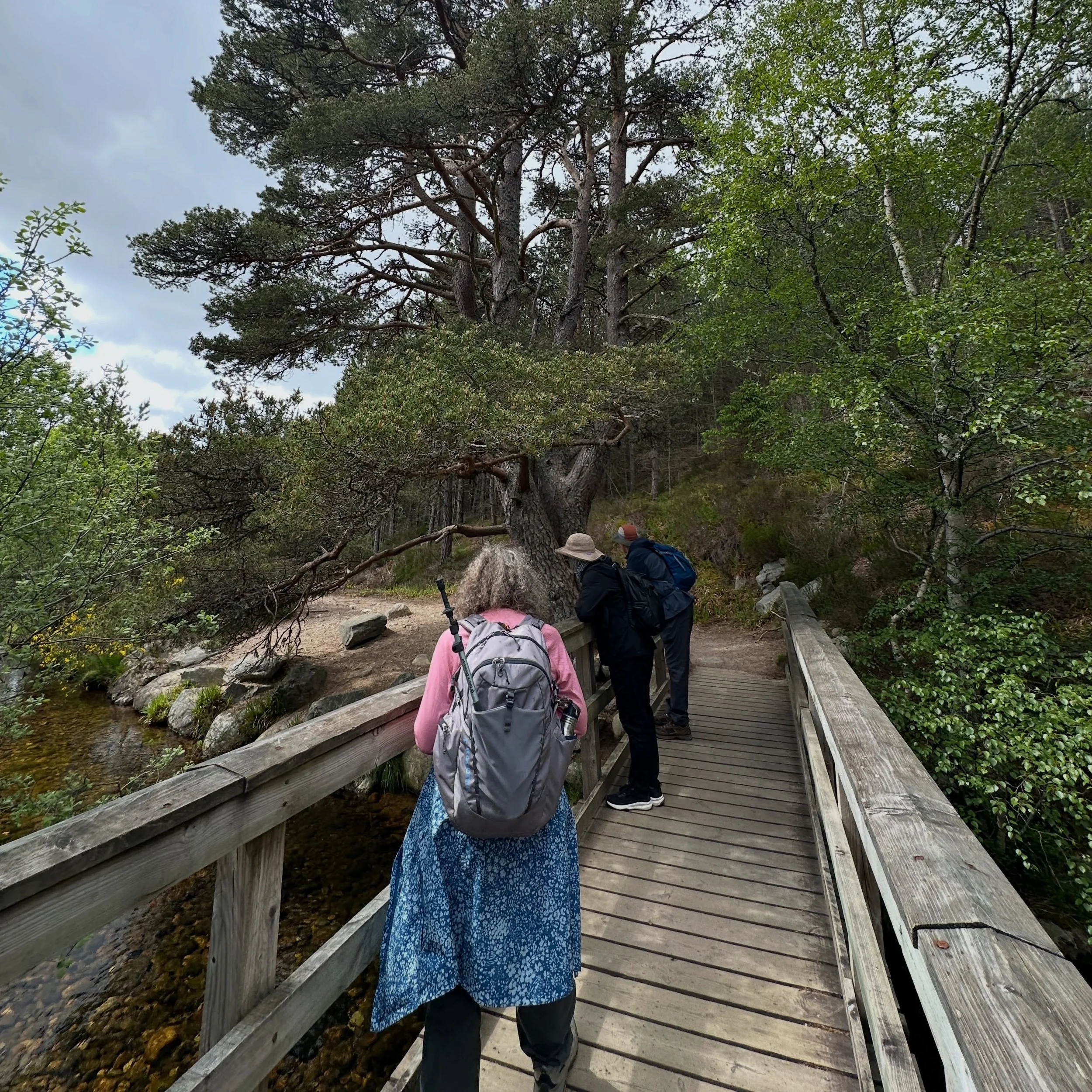 Lovely walk to An Lochan Uanie and Ryvoan bothy today. It&rsquo;s not often our clients go for a dip in the Lochan but it&rsquo;s hard to resist on a sunny day 😎 Well done 👏 

Thank you all and enjoy the remainder of your holiday in Scotland 🏴󠁧󠁢