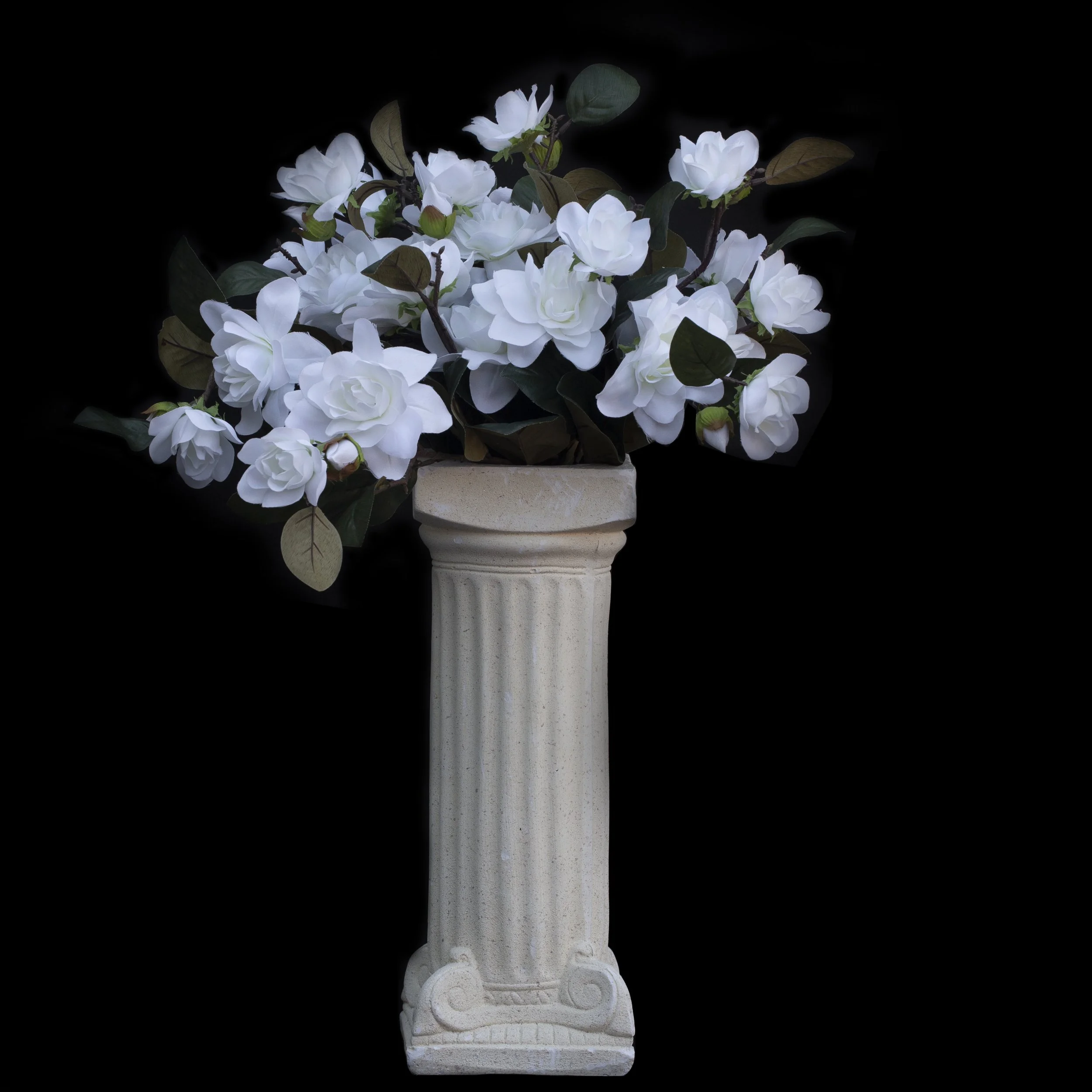 Photo Oct 18 2020, 3 01 32 PM.jpg