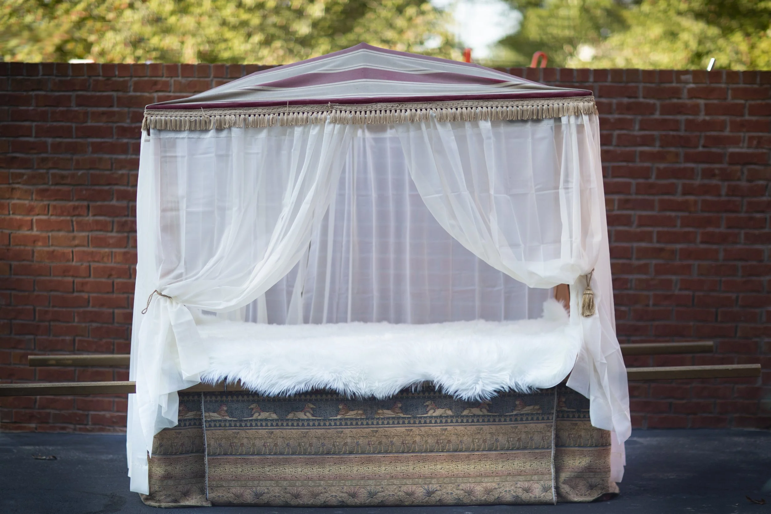 Photo Oct 18 2020, 3 53 42 PM.jpg