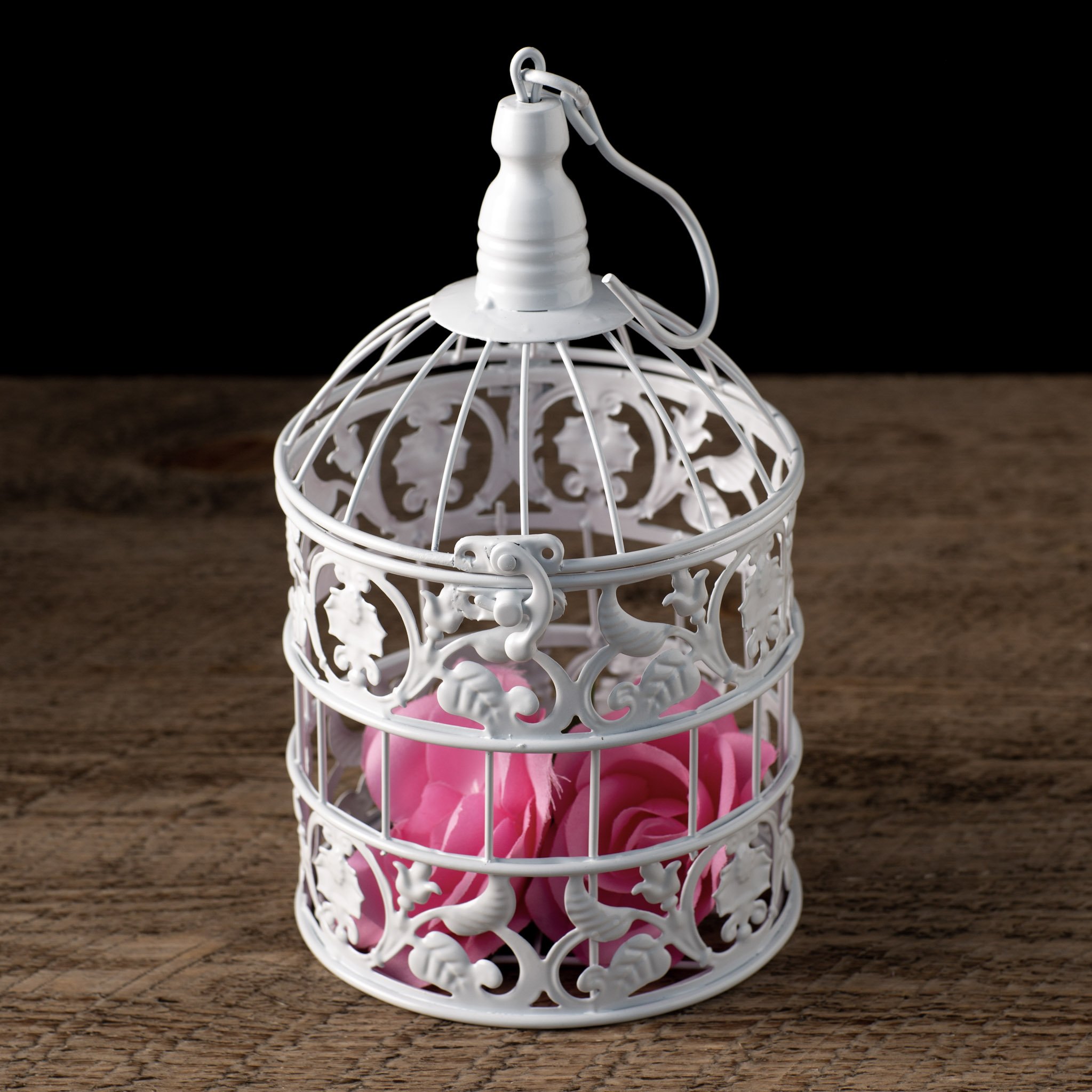 Photo Jan 23 2026, 12 51 26 PM (101).jpg