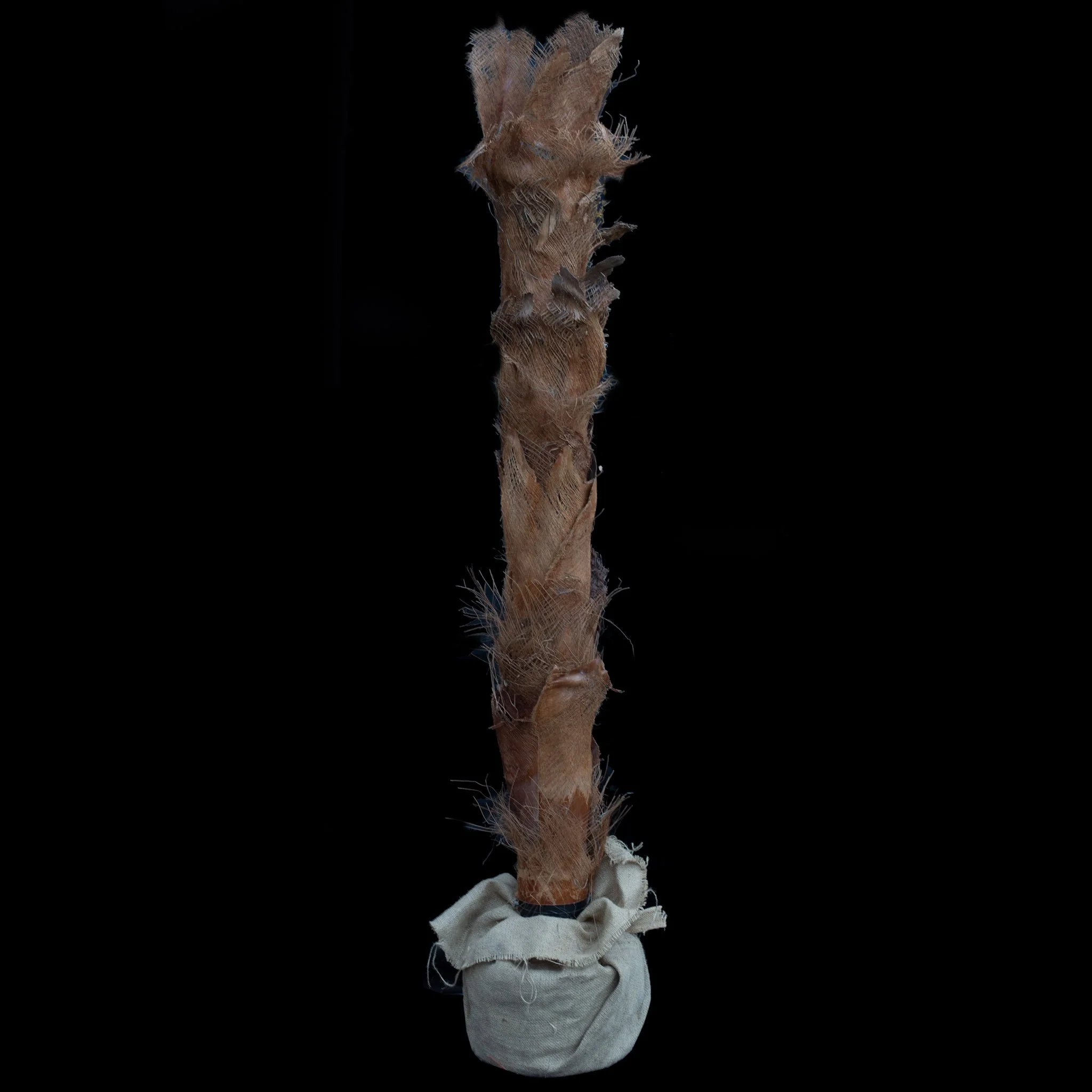 Palm Tree Trunk Stand