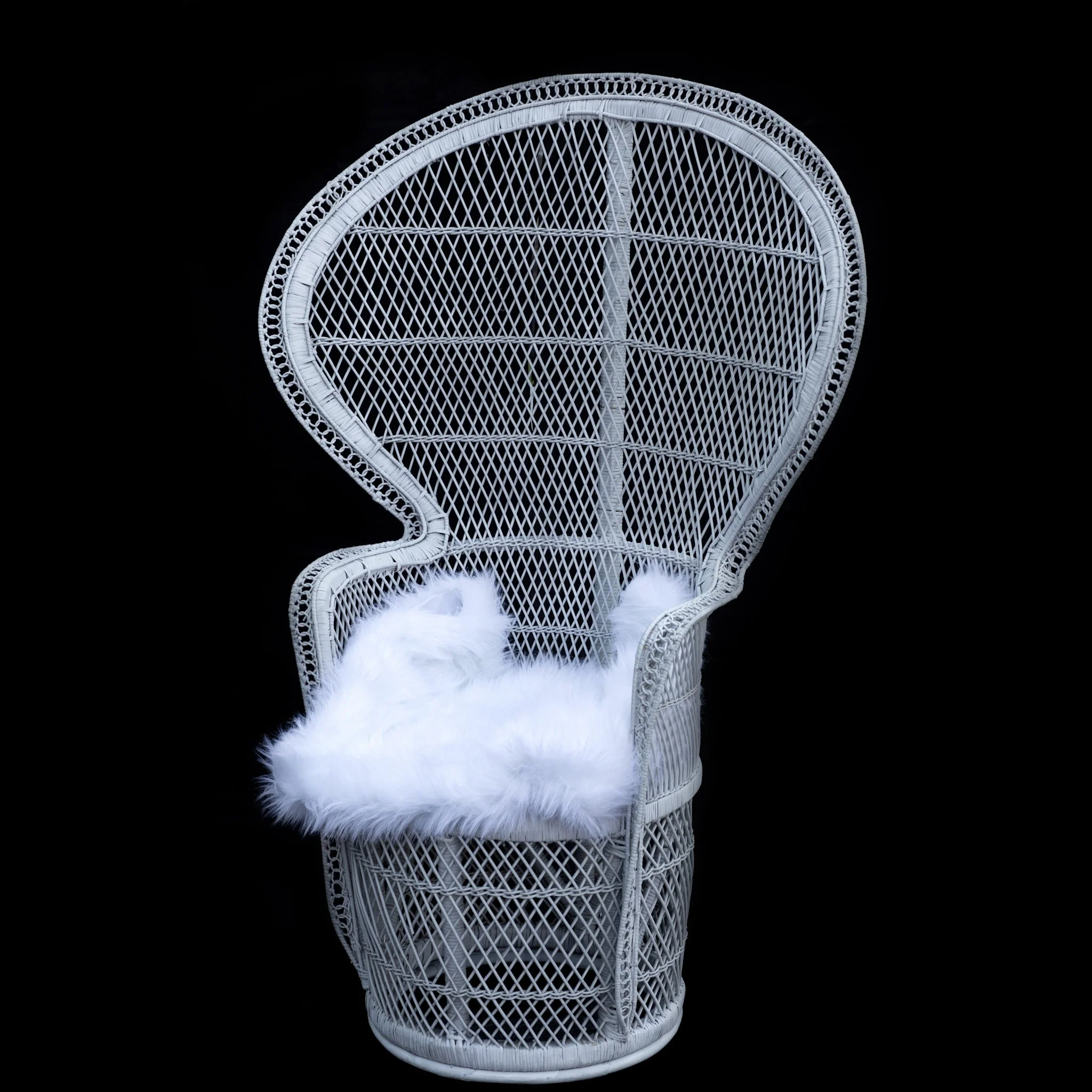 White Wicker Peacock Chair