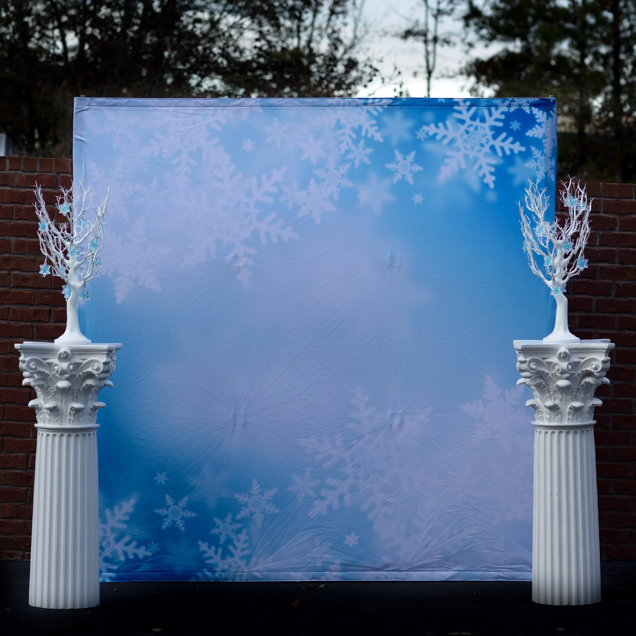 Snowflake Backdrop