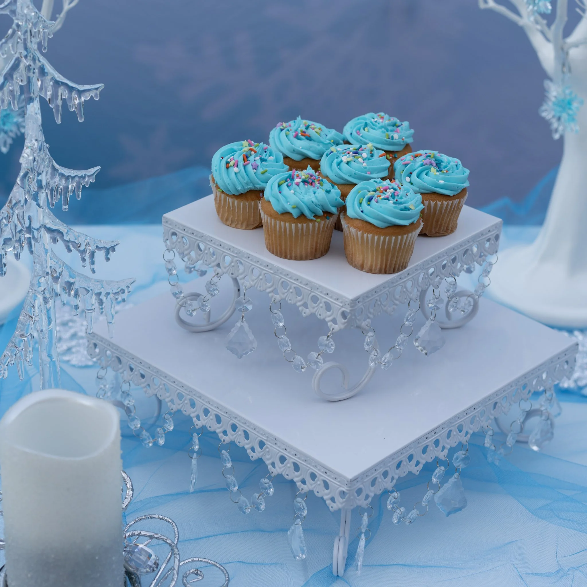 Photo Jan 23 2026, 12 51 26 PM (83).jpg