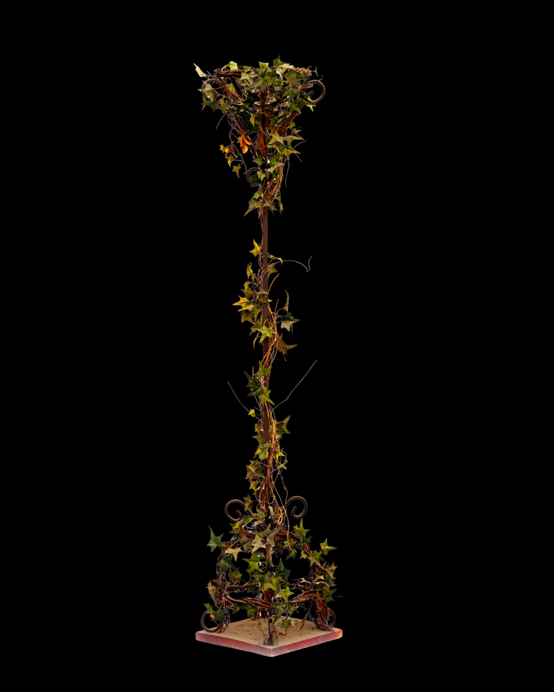 Spiral Ivy Stand