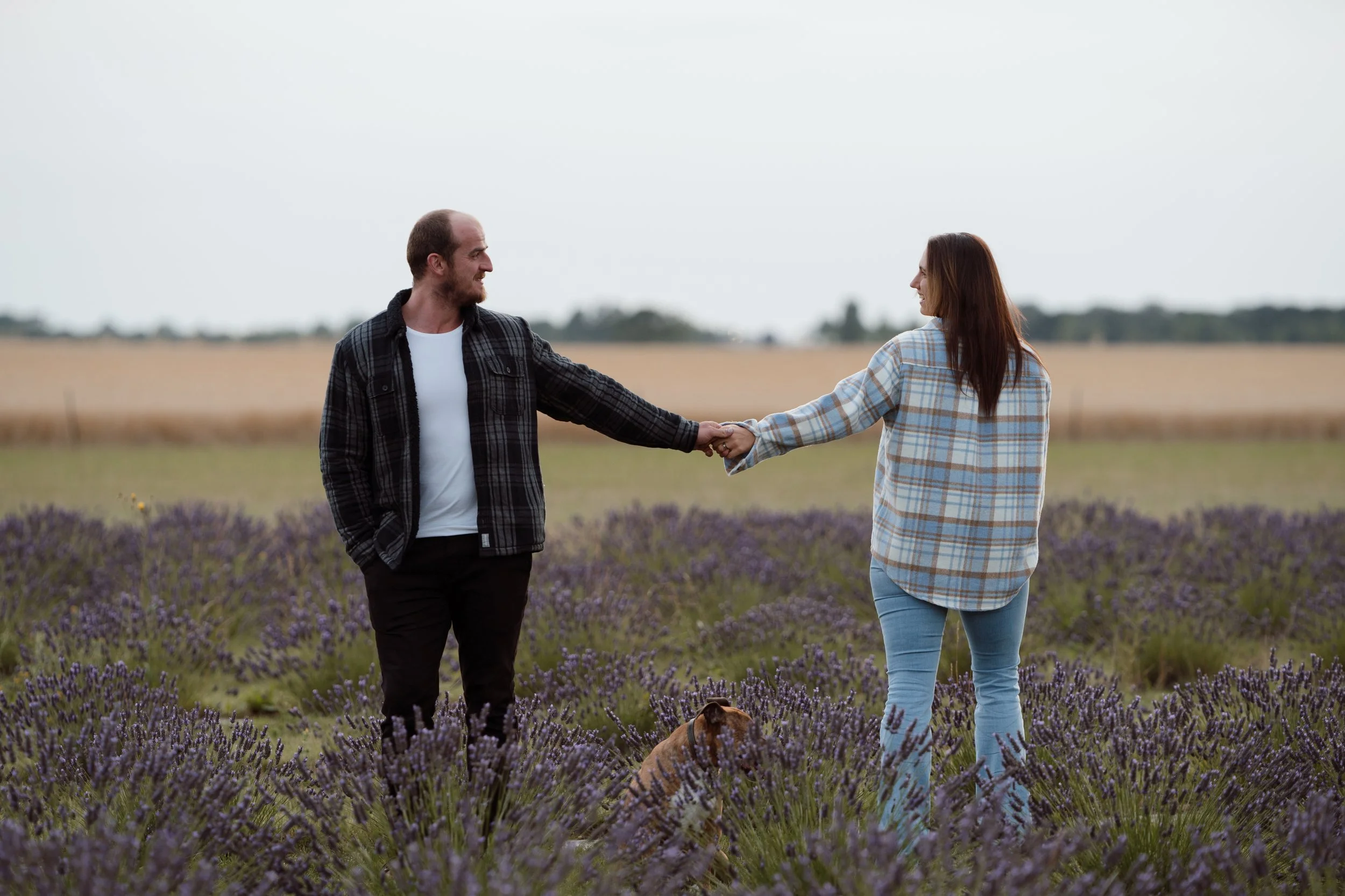 A man and woman holding hands in a lavender field, with a dog sitting nearby, under an overcast sky.