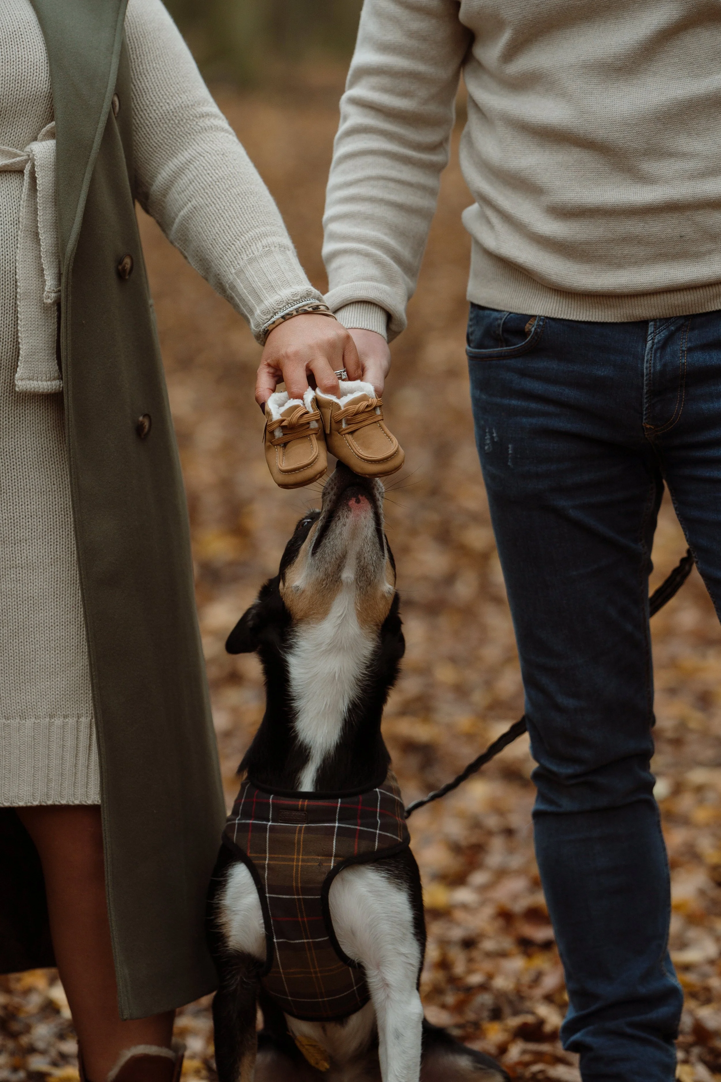 A person with a beige sweater and another with blue jeans holding a small pair of baby shoes, with a dog wearing a plaid harness in an autumn setting.