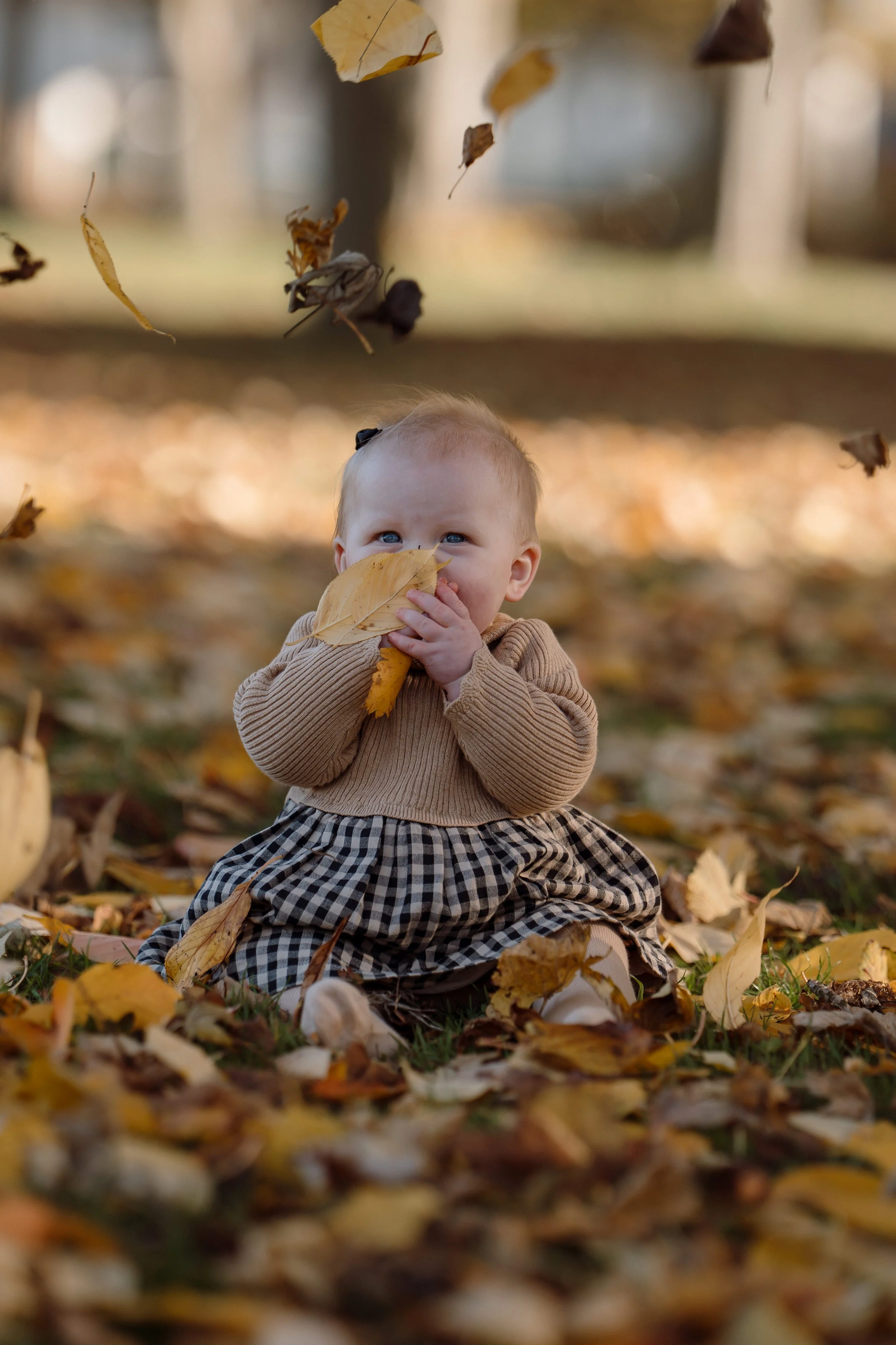 A young child sitting on a bed of fallen autumn leaves, holding and smelling a yellow leaf, surrounded by falling leaves, in a park.