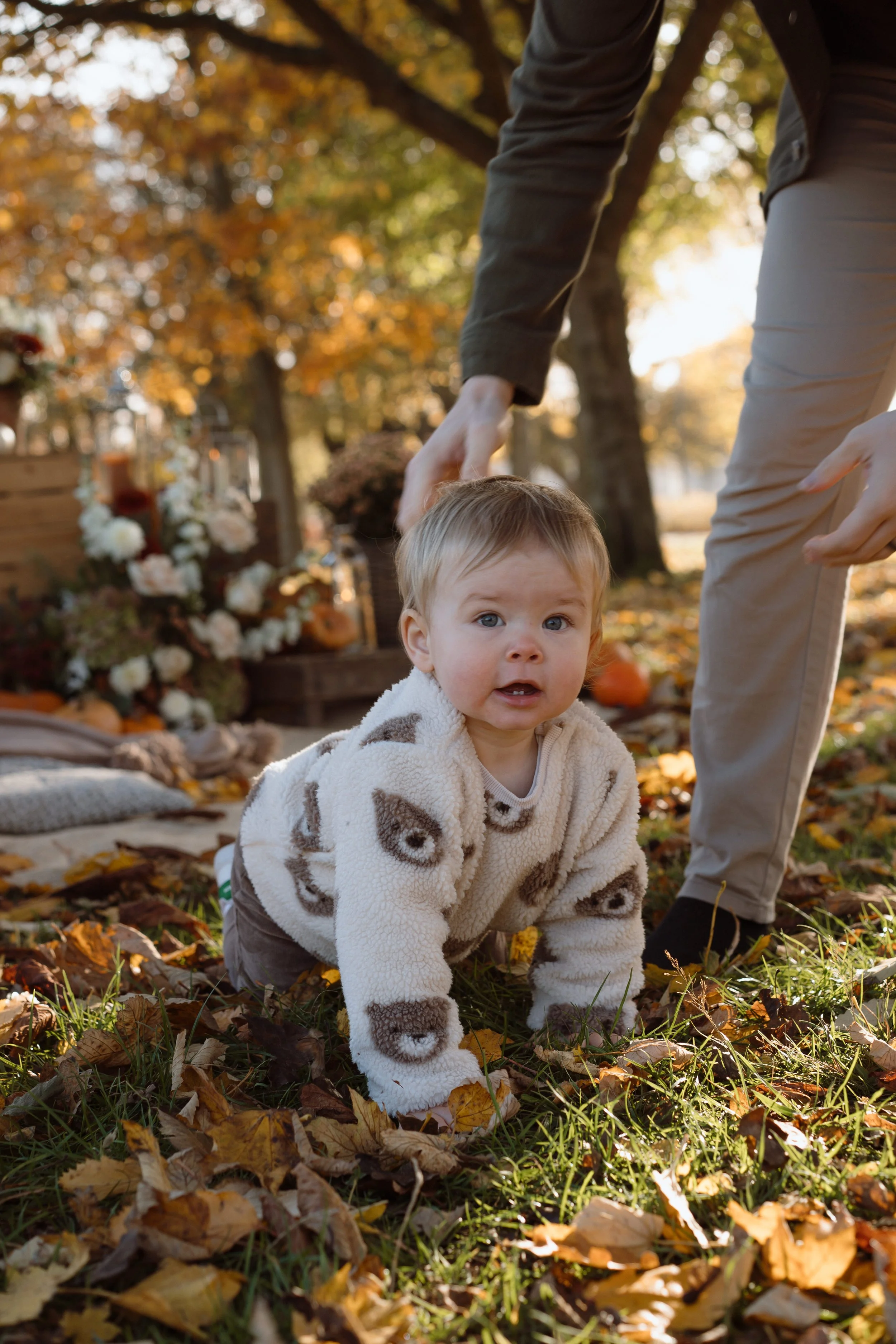 A young child crawling on the ground covered with fall leaves in an outdoor park during autumn, holding an adult's hand for support, with trees and autumn foliage in the background.