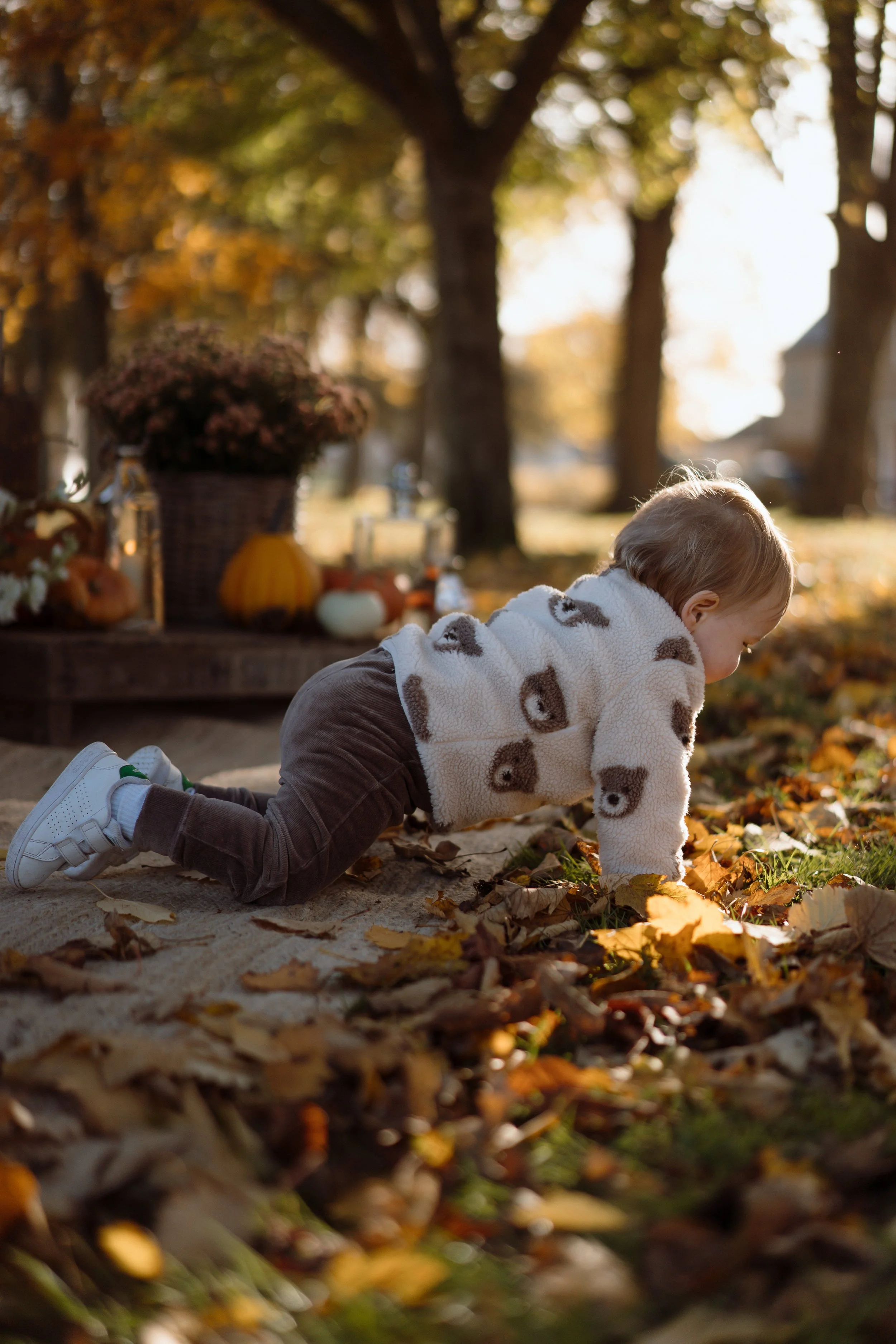 A young child crawling on the ground amidst fallen autumn leaves in a park or garden during late afternoon or early evening. In the background, there is a table decorated with pumpkins, flowers, and lanterns, indicating a fall or Halloween setting.
