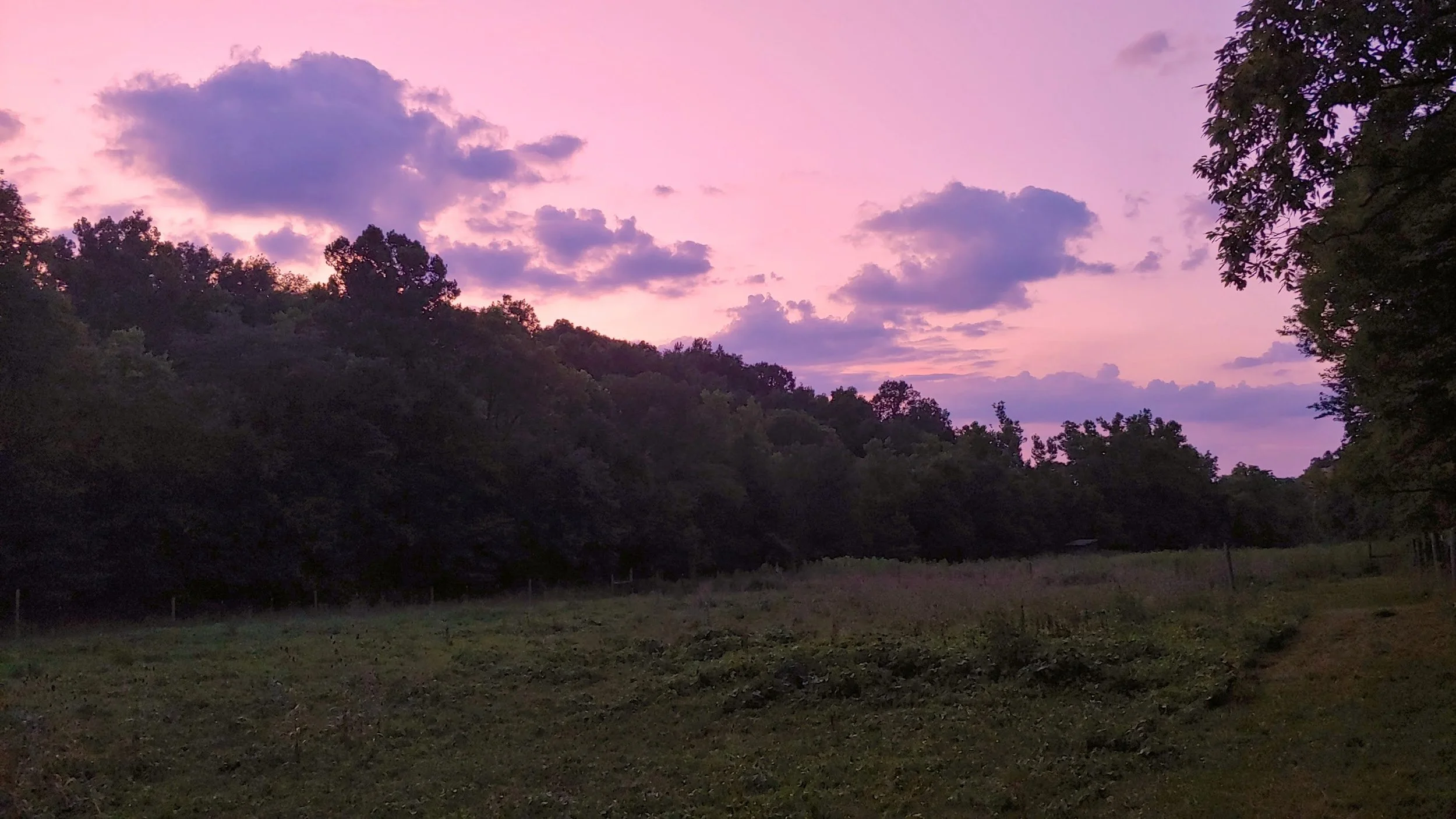 sunset back field.jpg