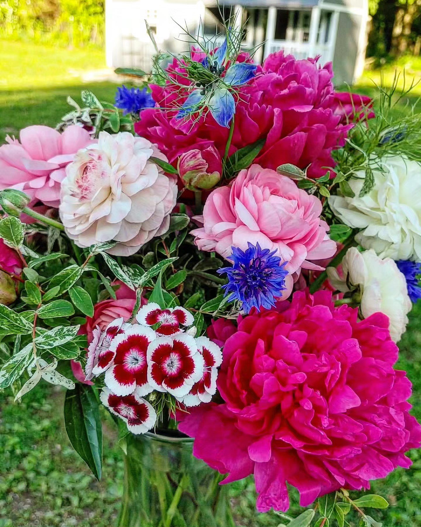 mixed peony.jpeg