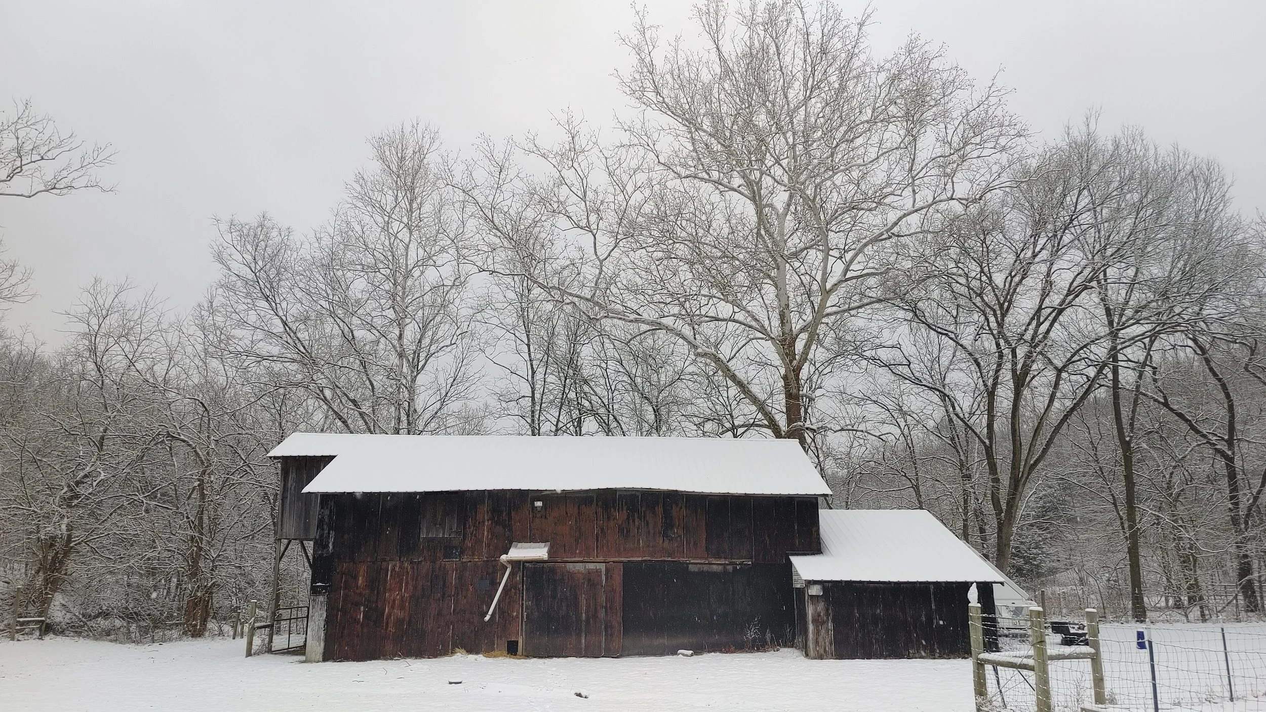 snowy barn.jpg