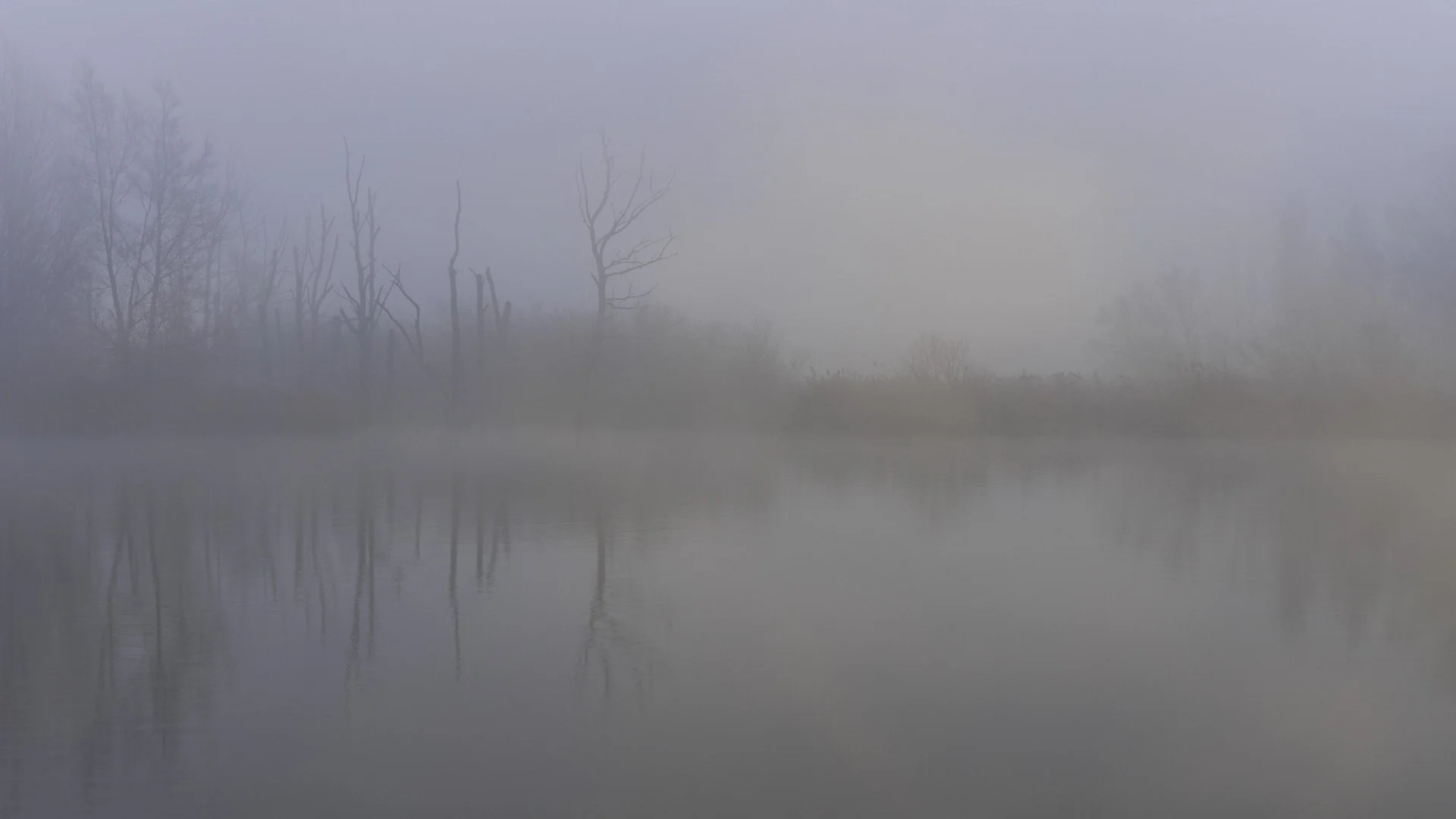 Freek 08_R5D2749.jpg