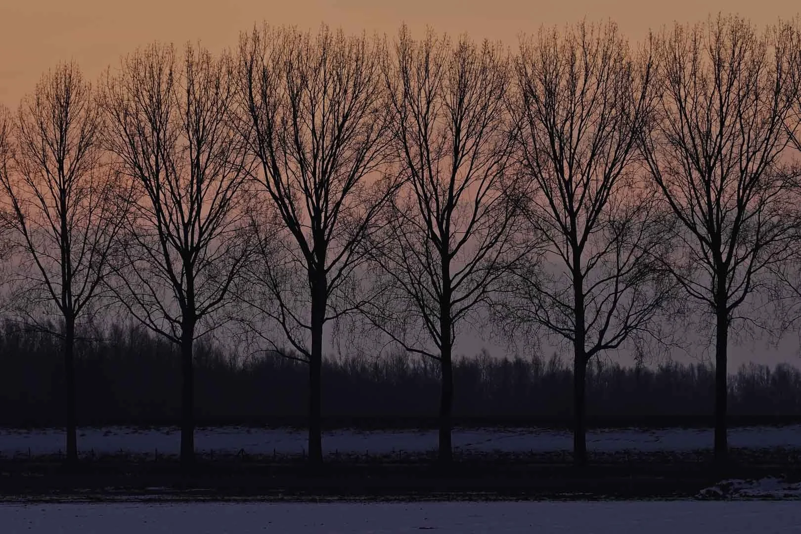 2026.04.10
