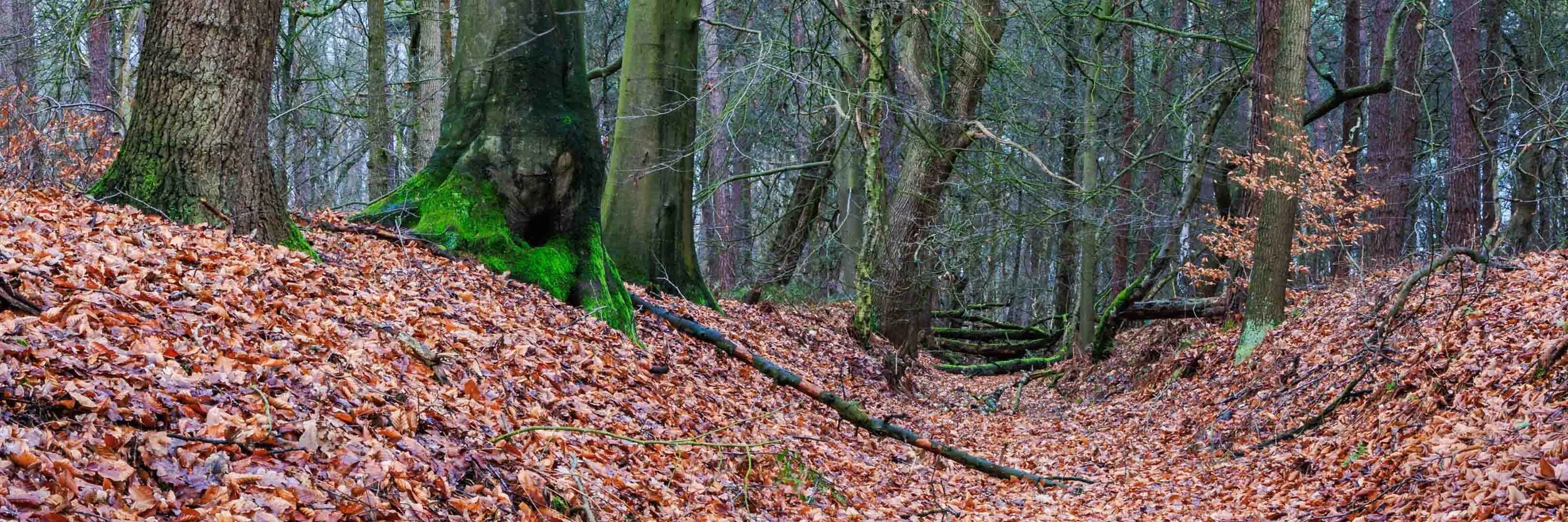 Freek 09_R5D4234.jpg