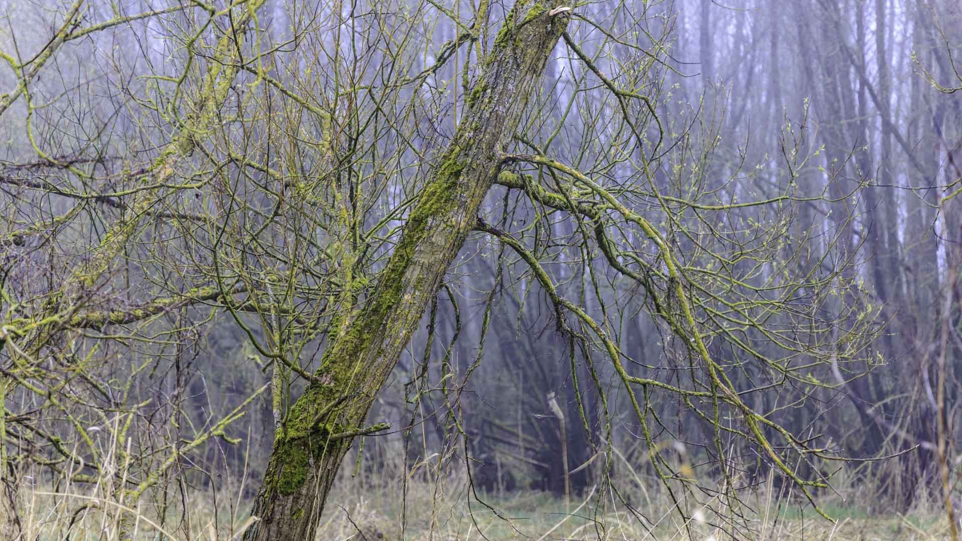 Freek 05_R5D7977.jpg