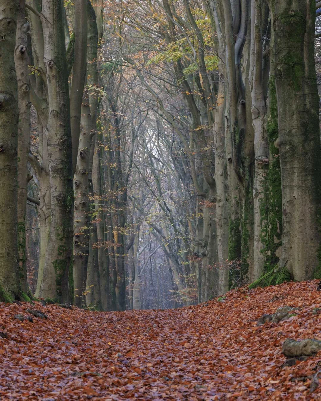 Freek 05_R5D2653.jpg