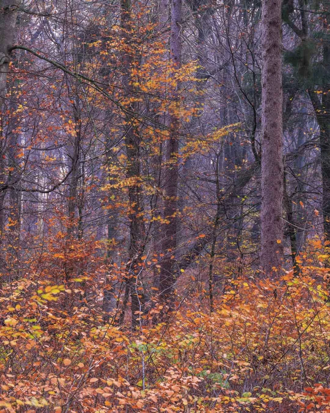 Freek 07_R5D2635.jpg