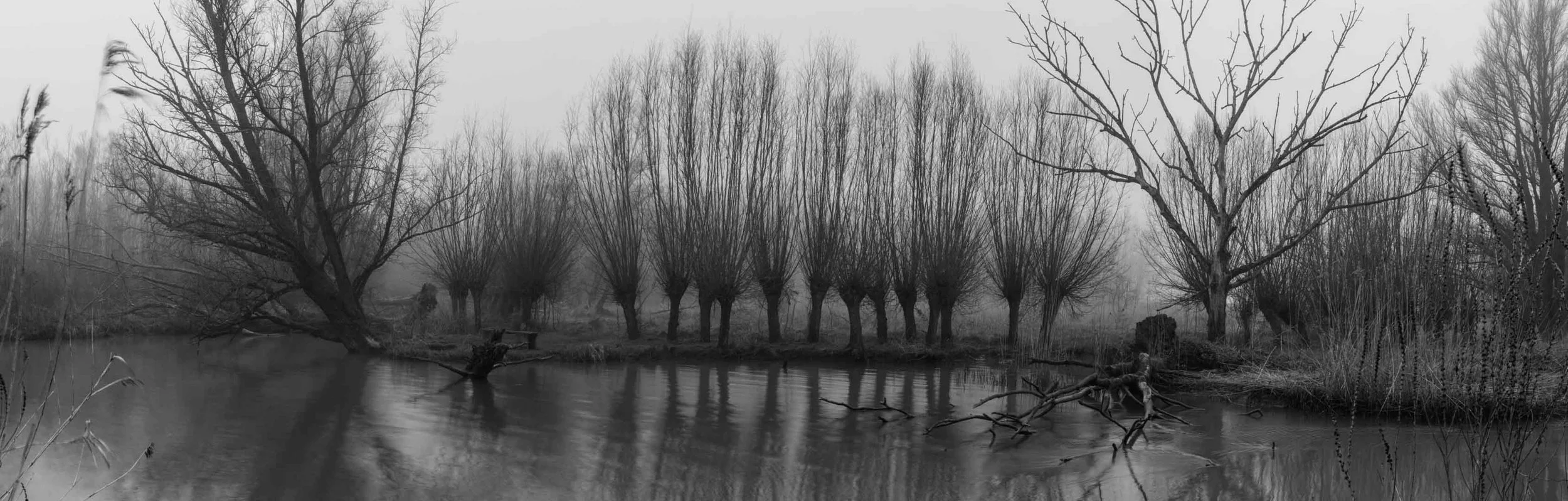 Freek 09_R5D8057-Pano.jpg