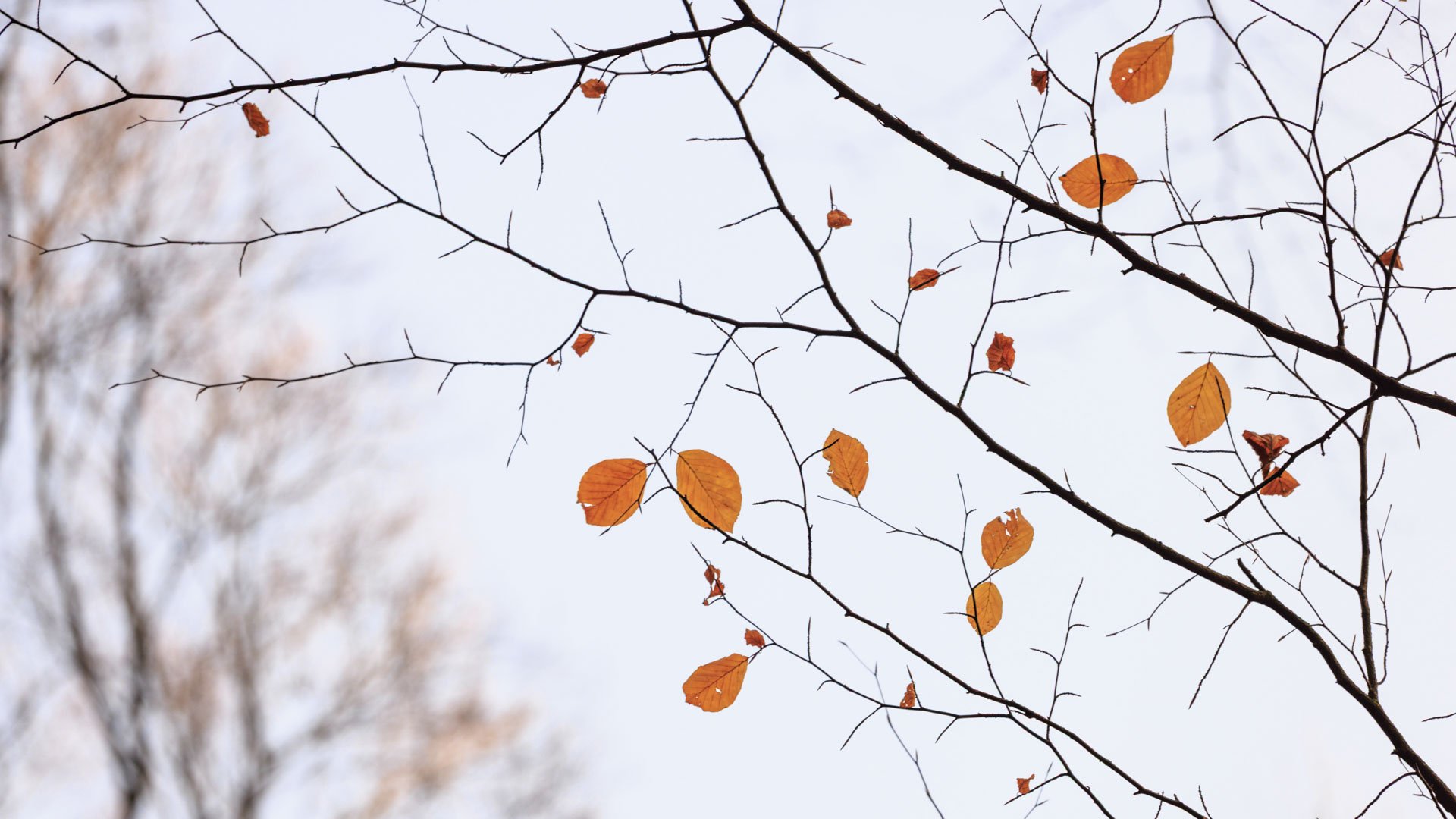 Freek 02_R5D2652.jpg