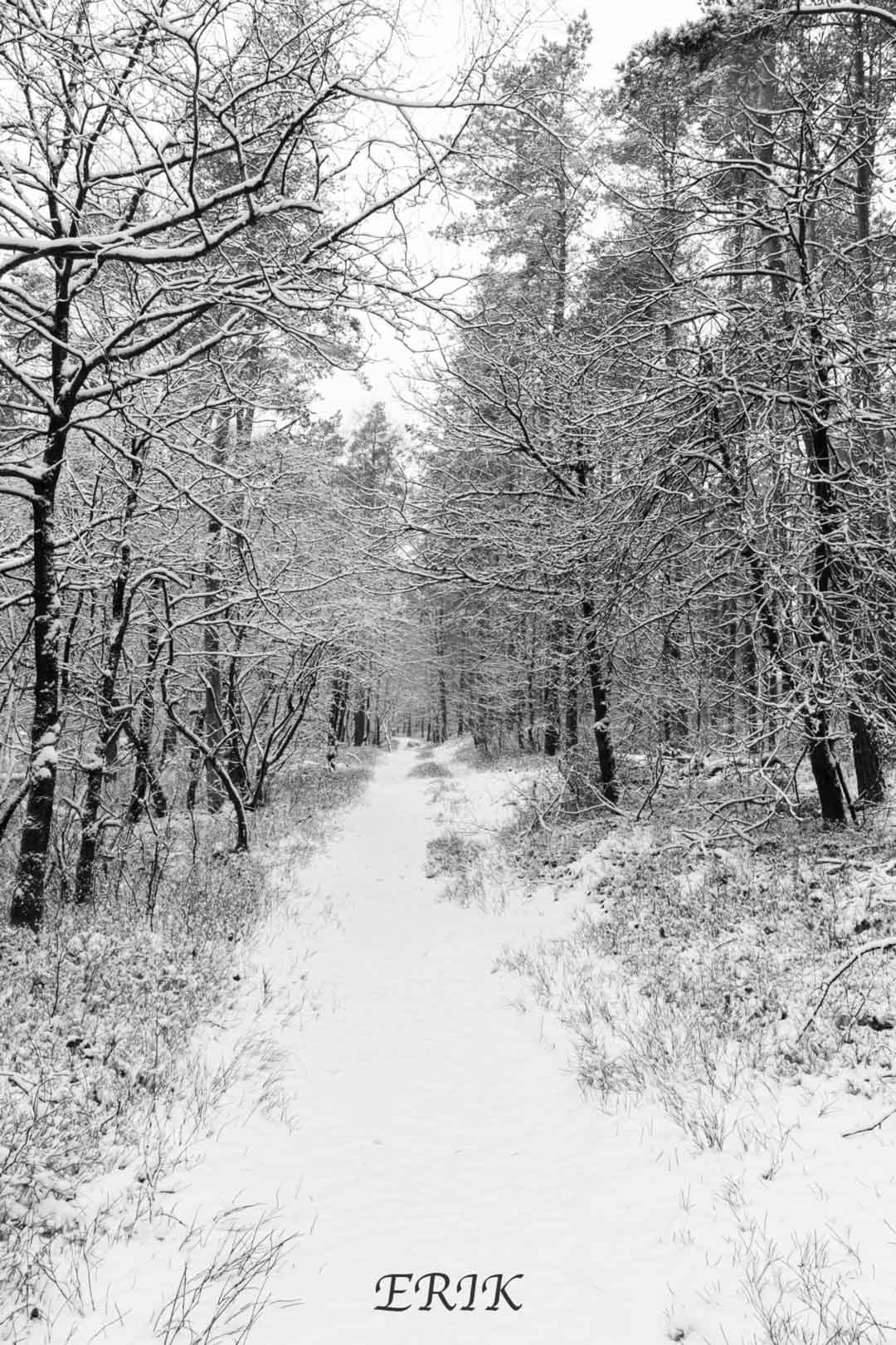 1-ERIK-6153.jpg