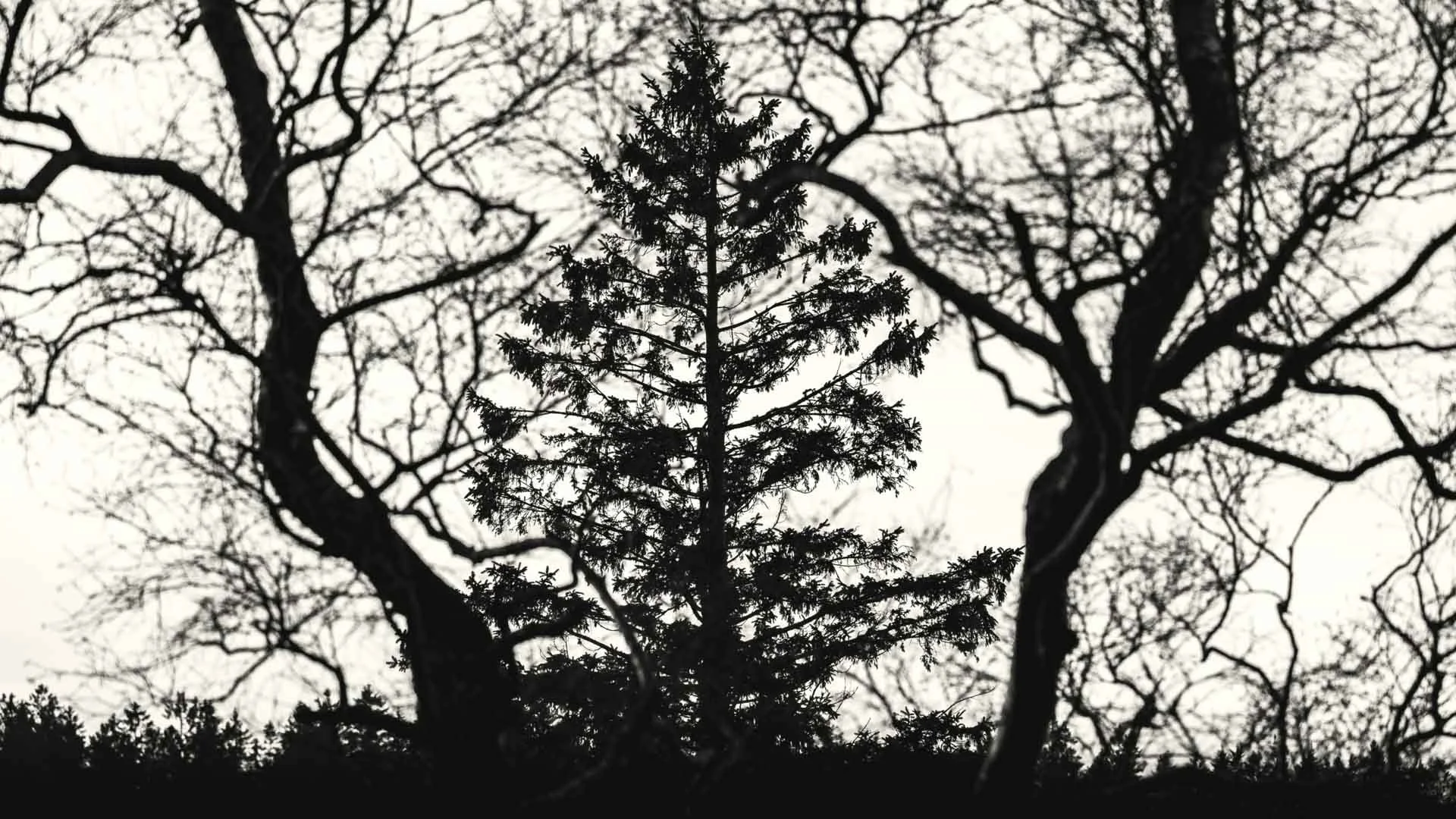 Freek 02_R5D2972-bewerkt.jpg