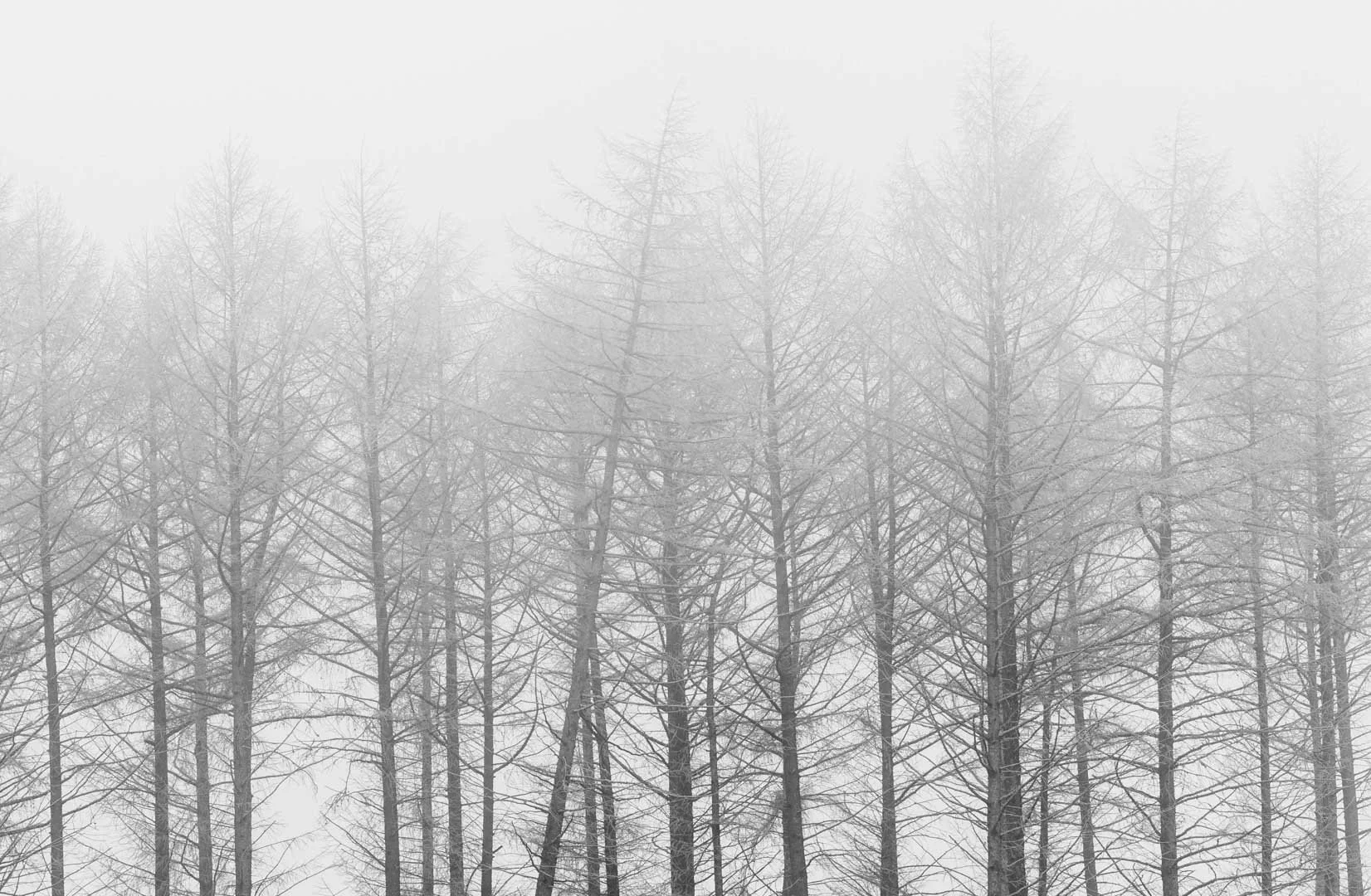 Freek 04_R5D3524.jpg