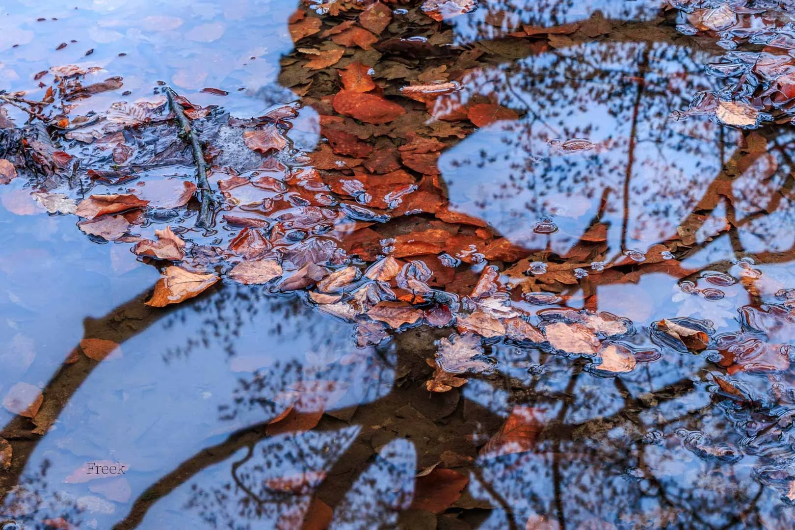 Freek 01_R5D4203.jpg