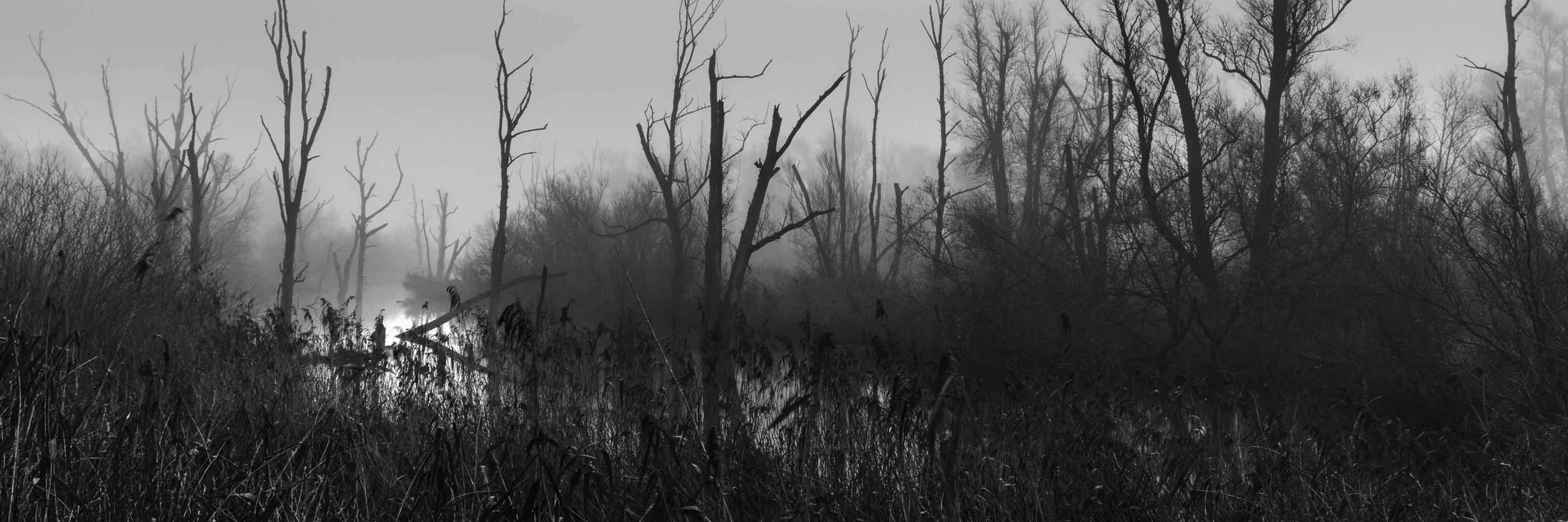 Freek 03_R5D2682.jpg