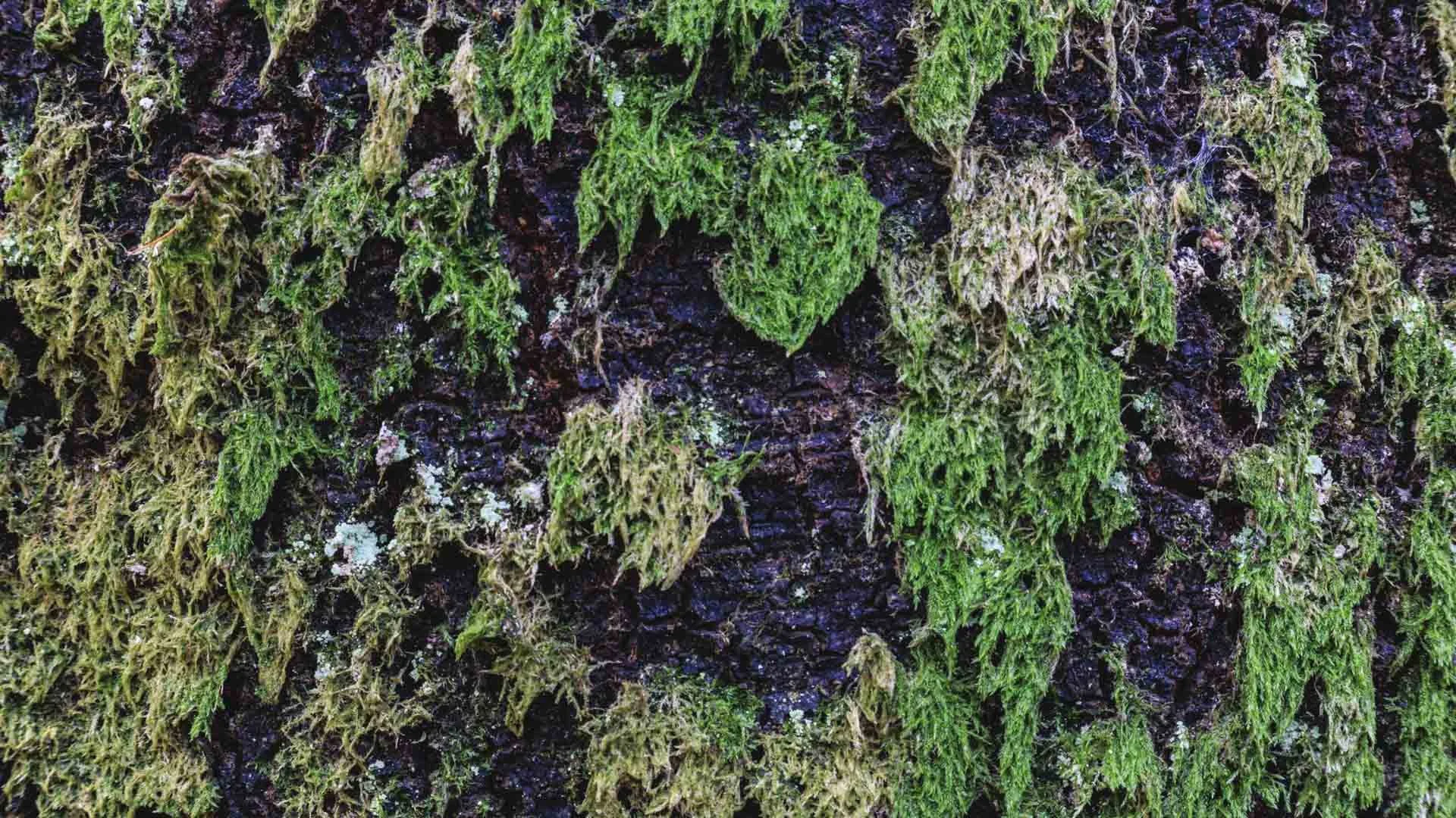 Freek 08_R5D2664.jpg