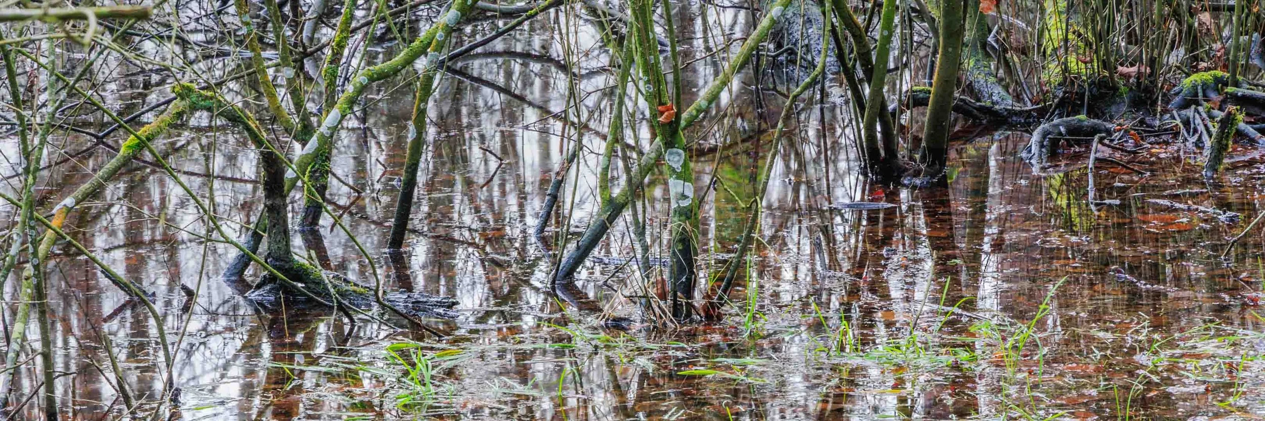 Freek 11_R5D4225 help.jpg