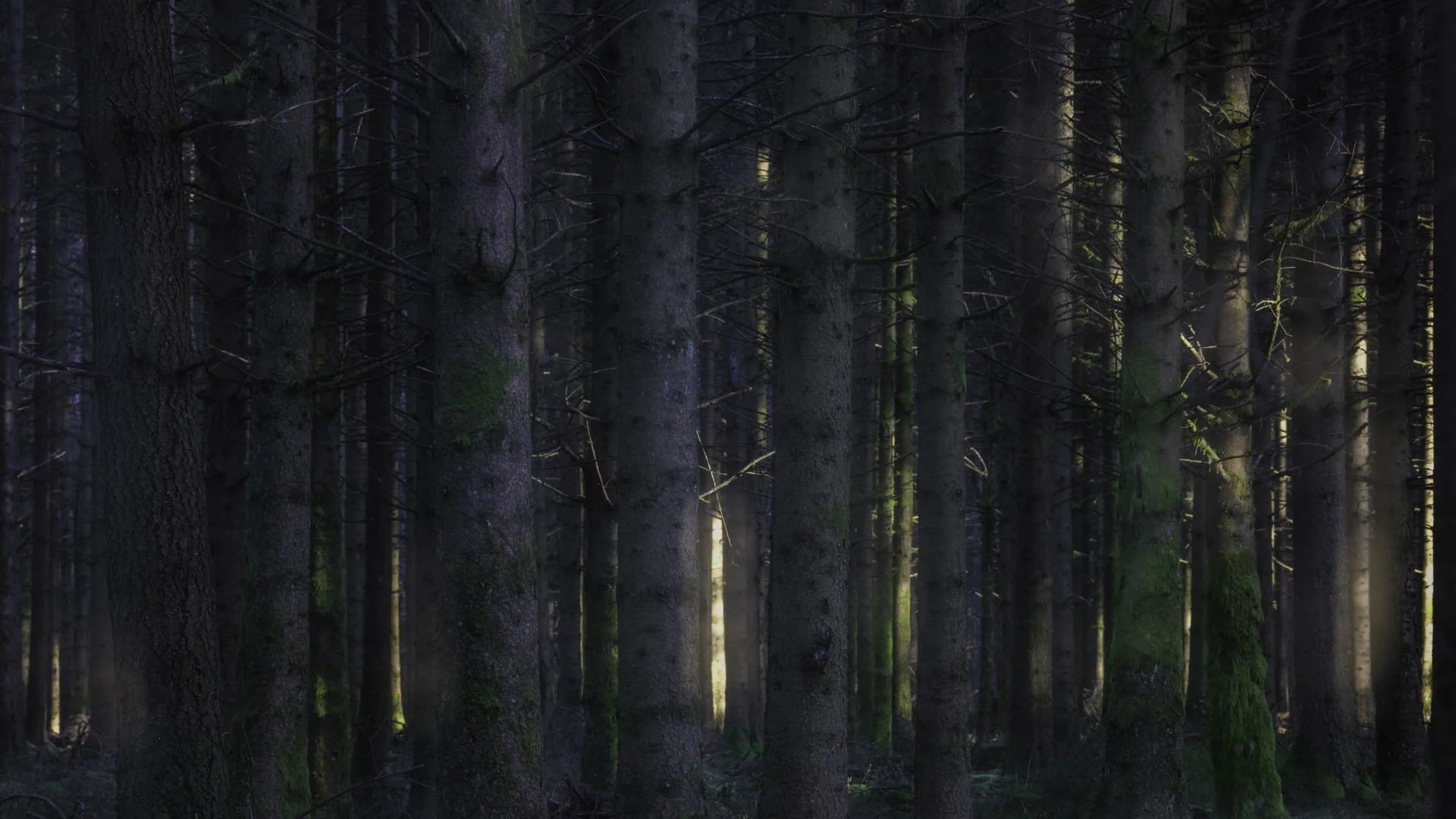 Freek 06_R5D3433.jpg