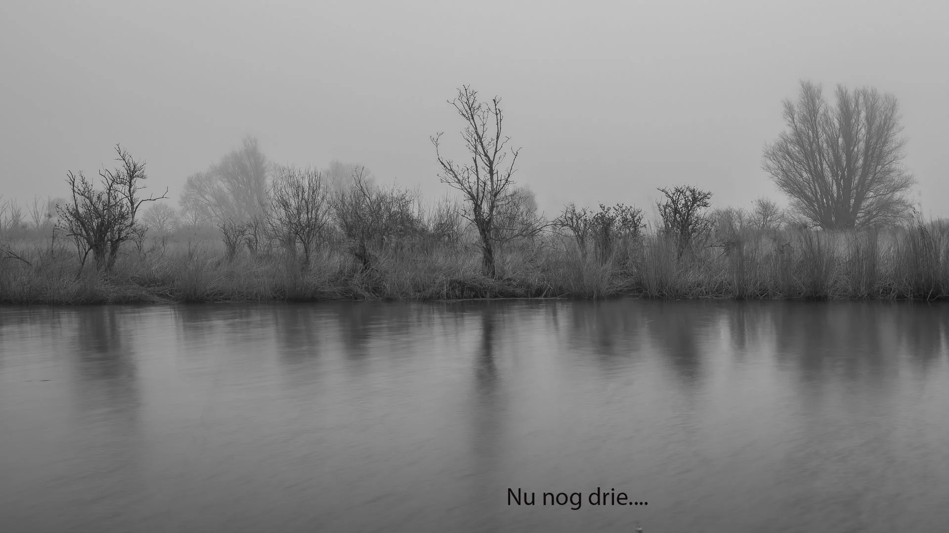 HansD_2026050812.jpg