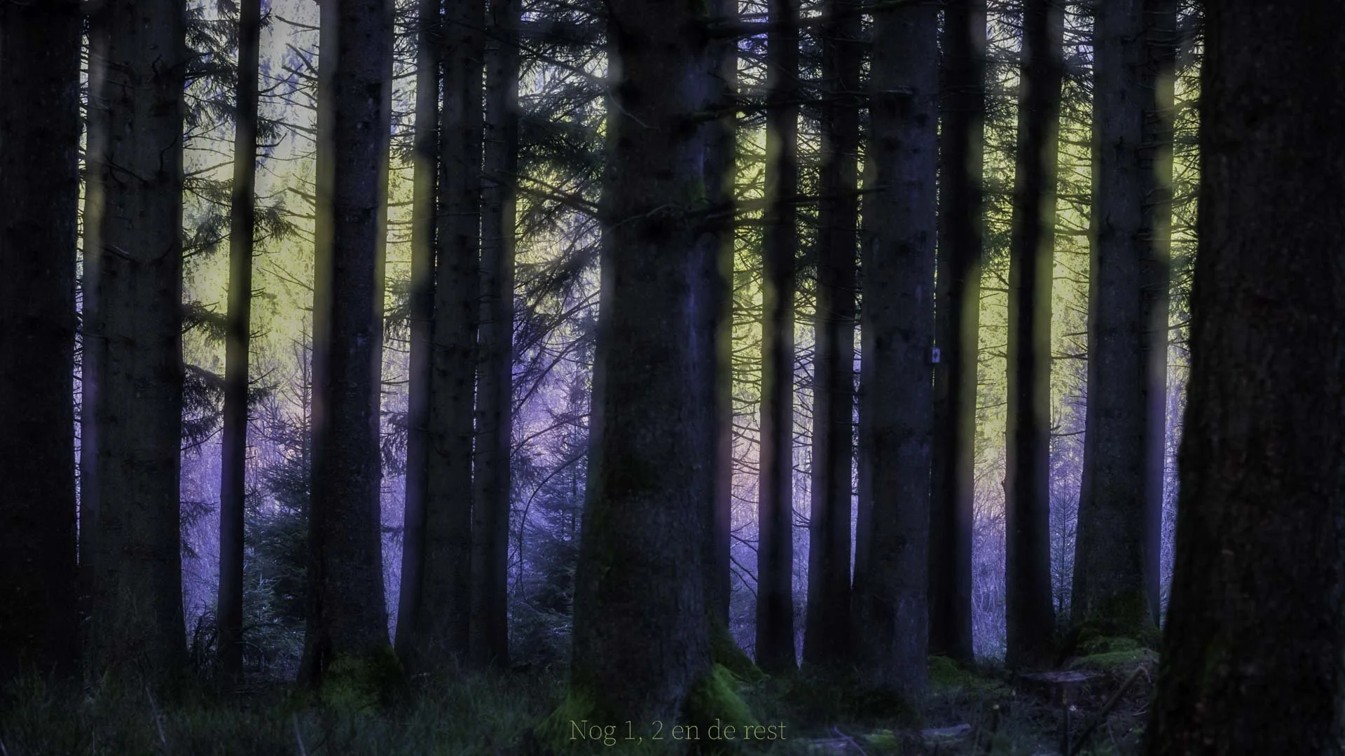 Freek 07_R5D3494.jpg